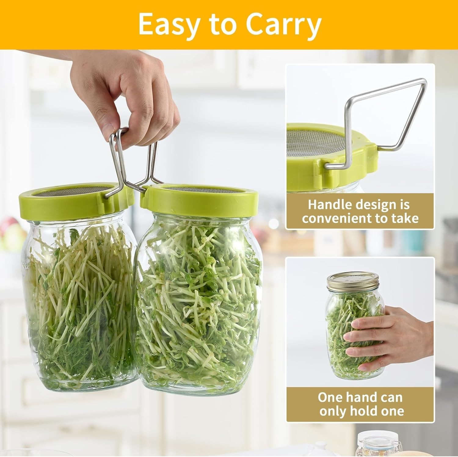 Sprouting Kit with 2 Sprout Screens, Alfalfa Seeds, Broccoli Seeds w/ Directions