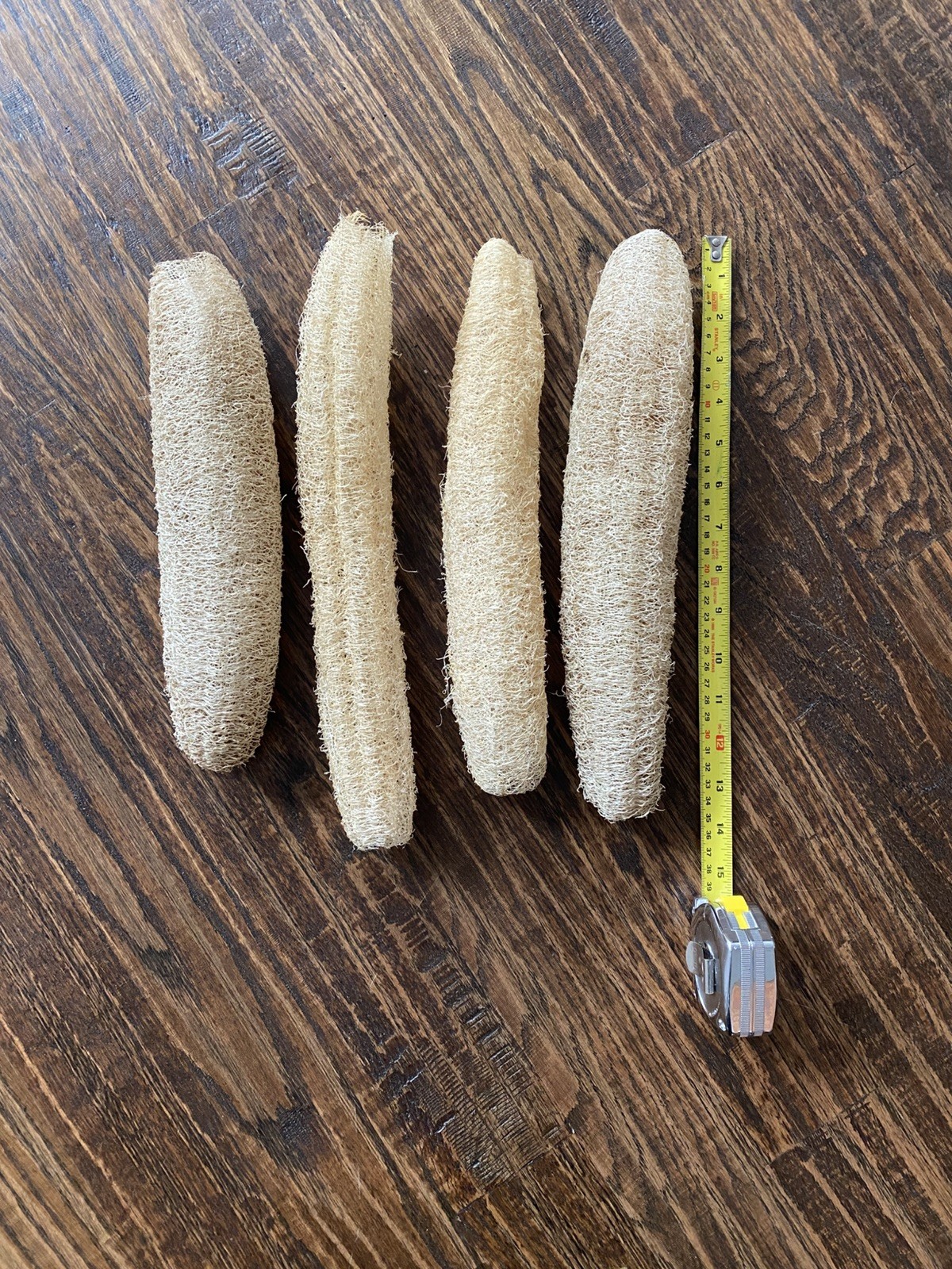 Organic 2025 Luffa (Loofah) 6 Seeds – Vines – Yellow Flowers – Sponge Gourd