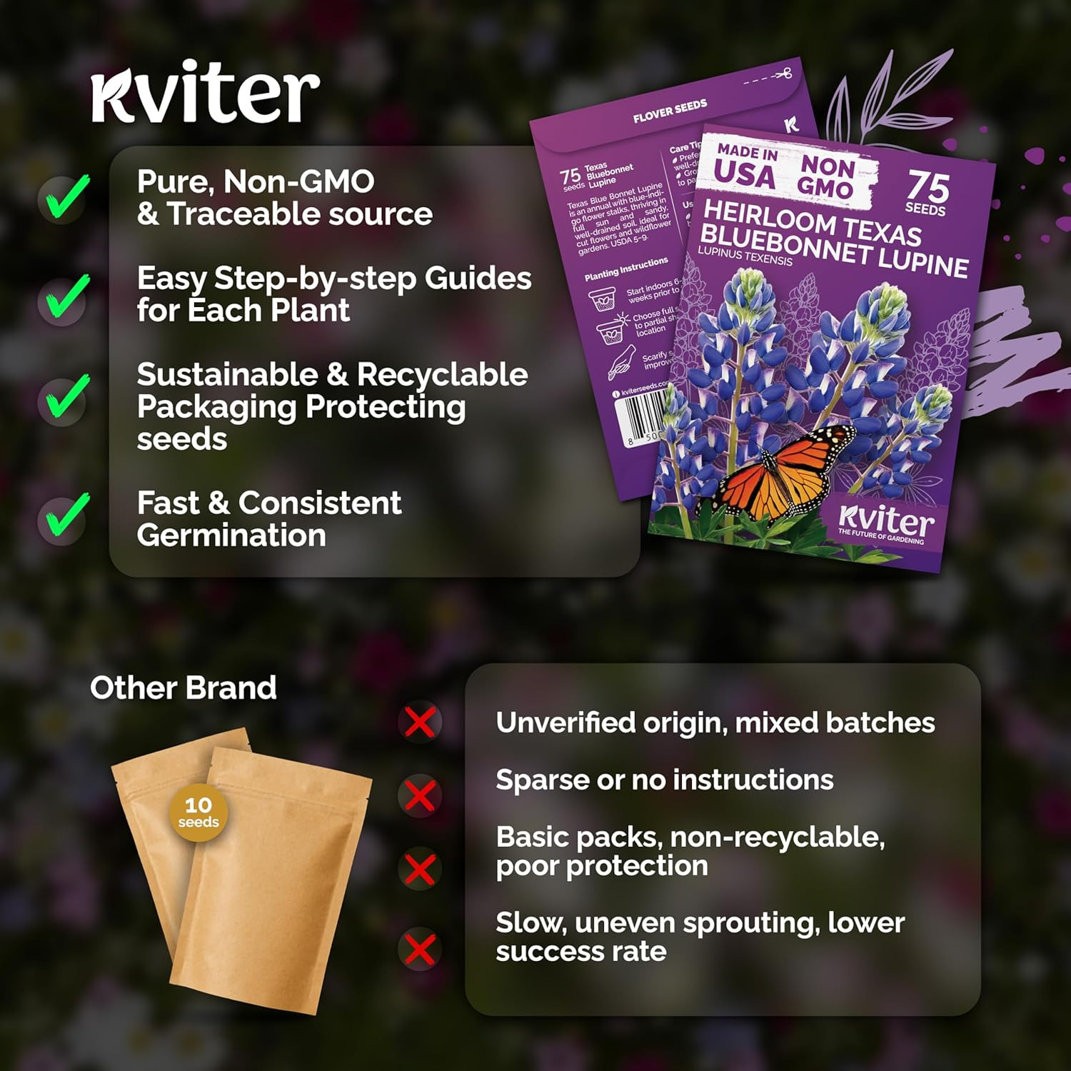 75 Texas Bluebonnet Seeds (Lupinus Texensis) – Texas Lupine, Pollinator Friendly