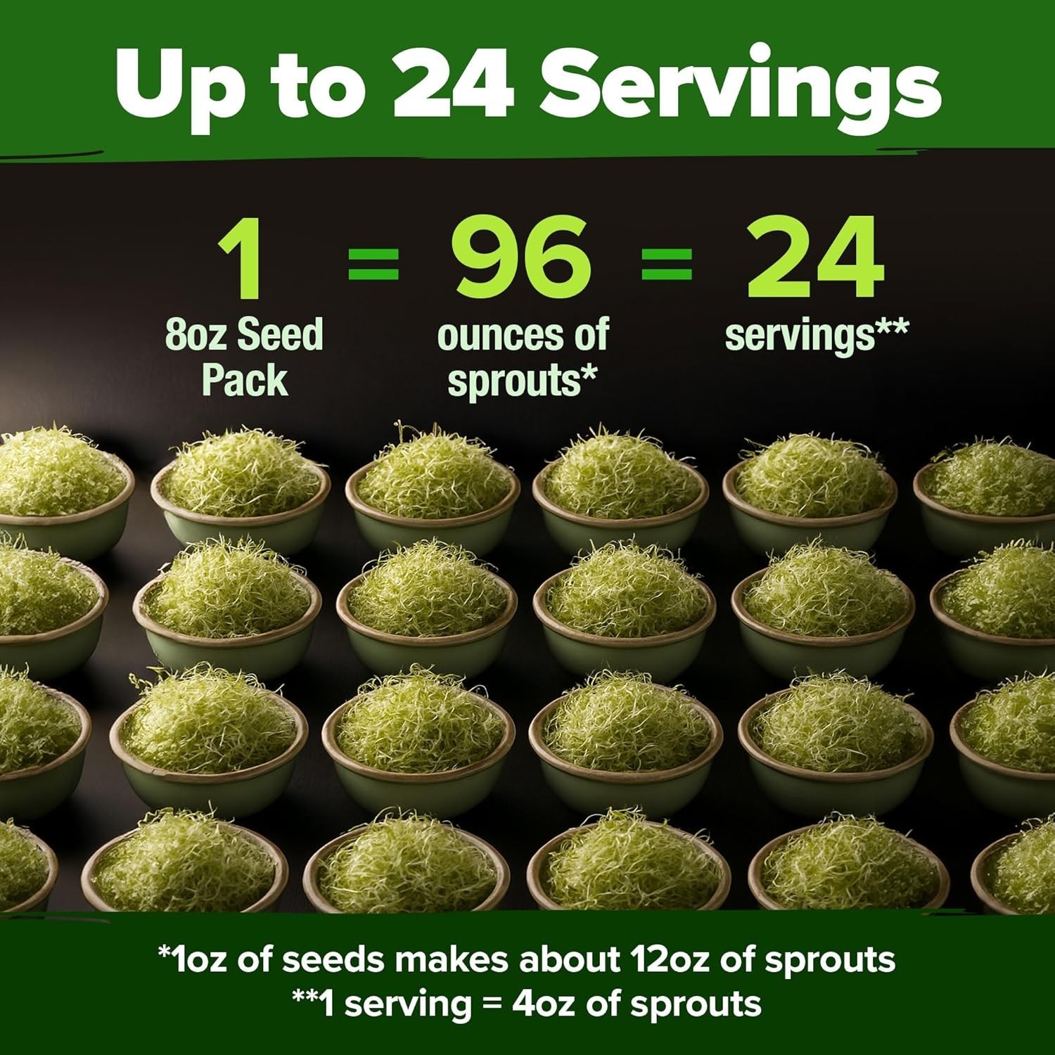 Nutrient Dense Heirloom Alfalfa Sprout Seeds – 8 oz for Indoor/Outdoor Gardens