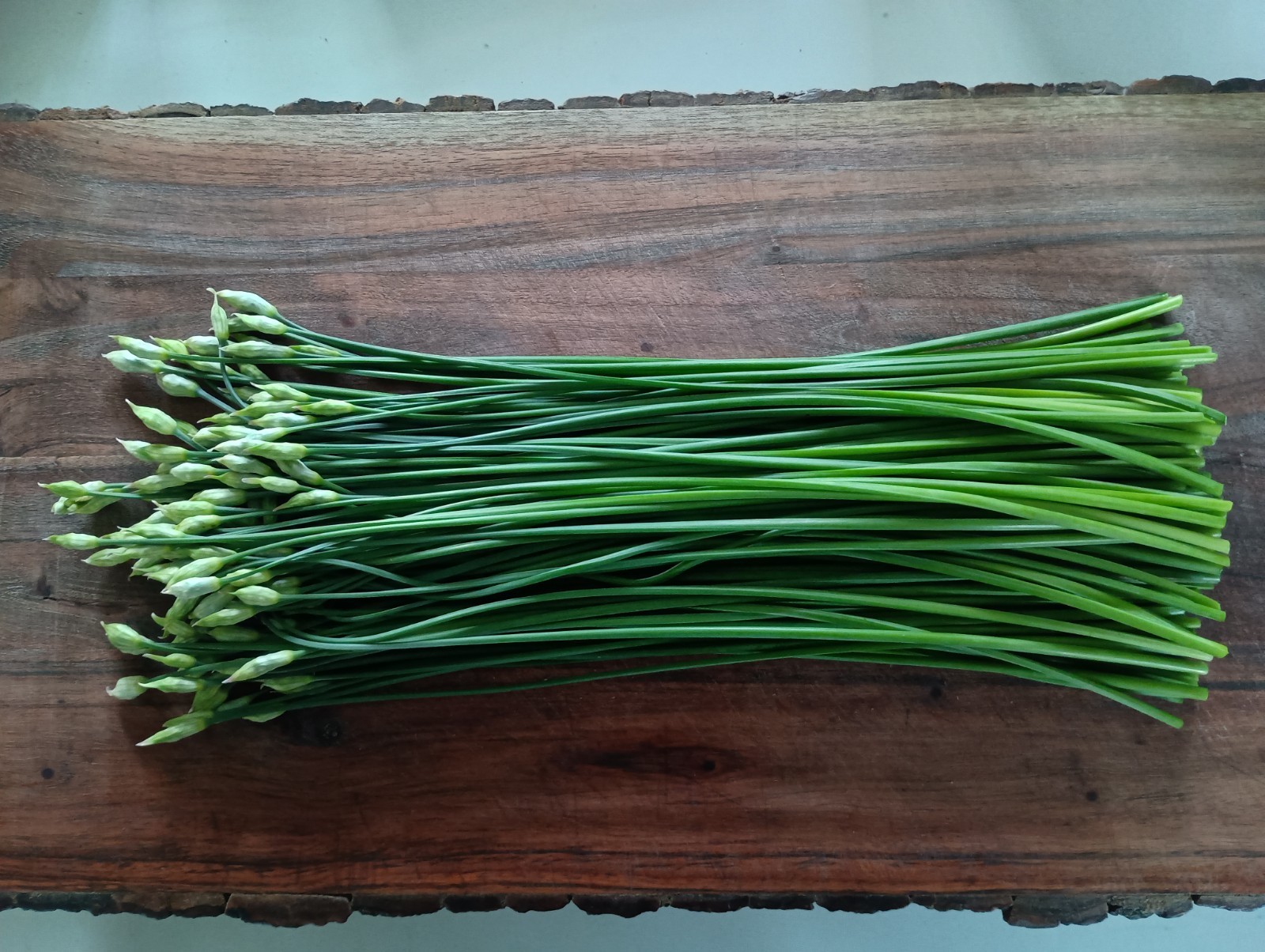 50 Garlic Chives Leek Plant Roots, Allium Tuberosum, Puerros , 韭菜根, 부추