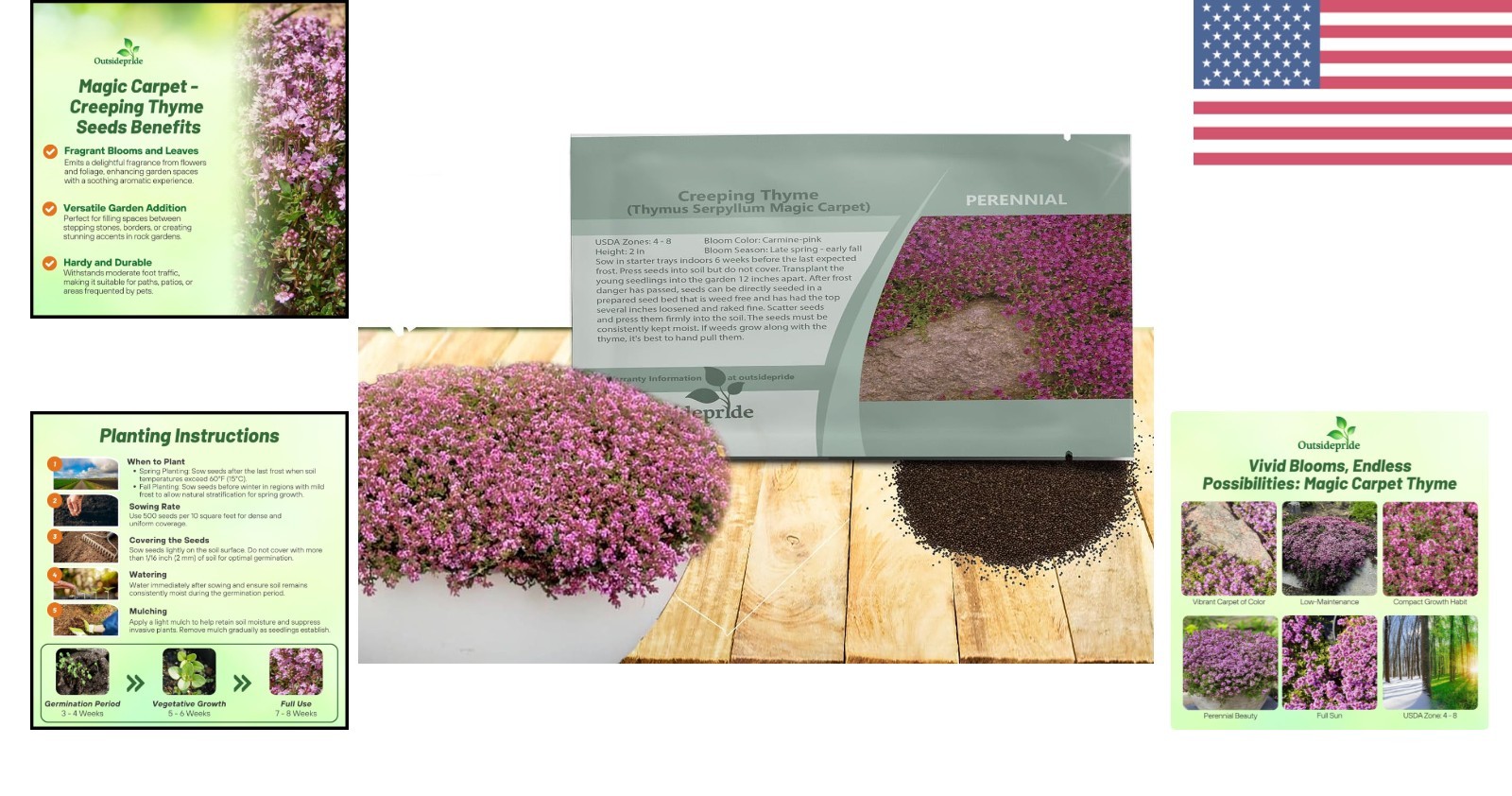 Magic Carpet Creeping Thyme Seeds – 500 PCS, Pink Flowers for Pollinator Gardens