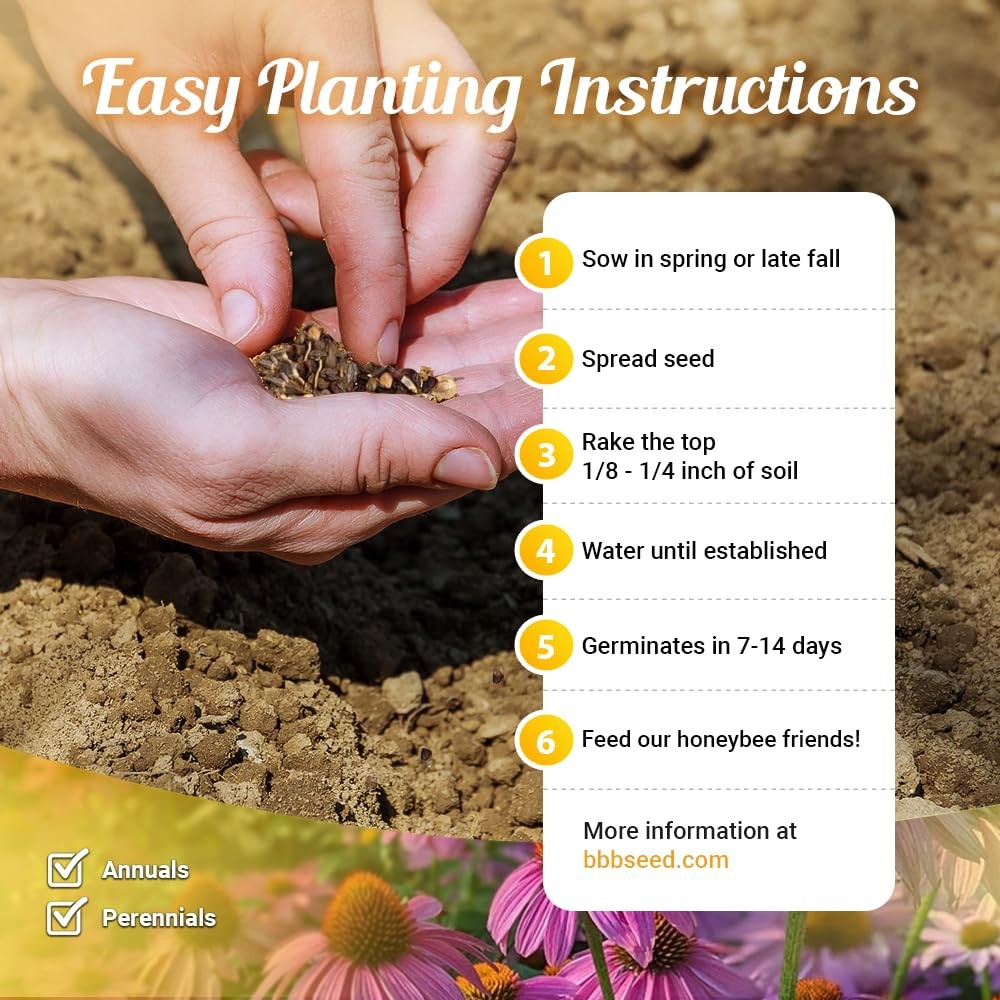 Honey Source Wildflower Seeds Mix for Honey Bees 4oz, Premium Annual and Per…