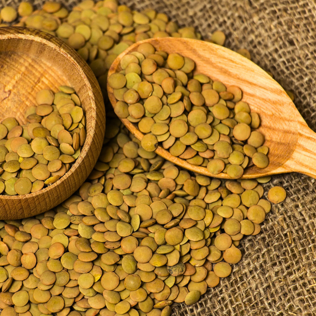 Fresh Premium Organic Lentil Seeds | Green | Heirloom Non-GMO | Vegetable Seeds