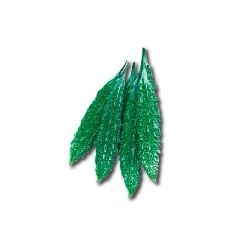 Bitter Gourd Green Arrow 5 Grams 30+ Bangladeshi Korola seed