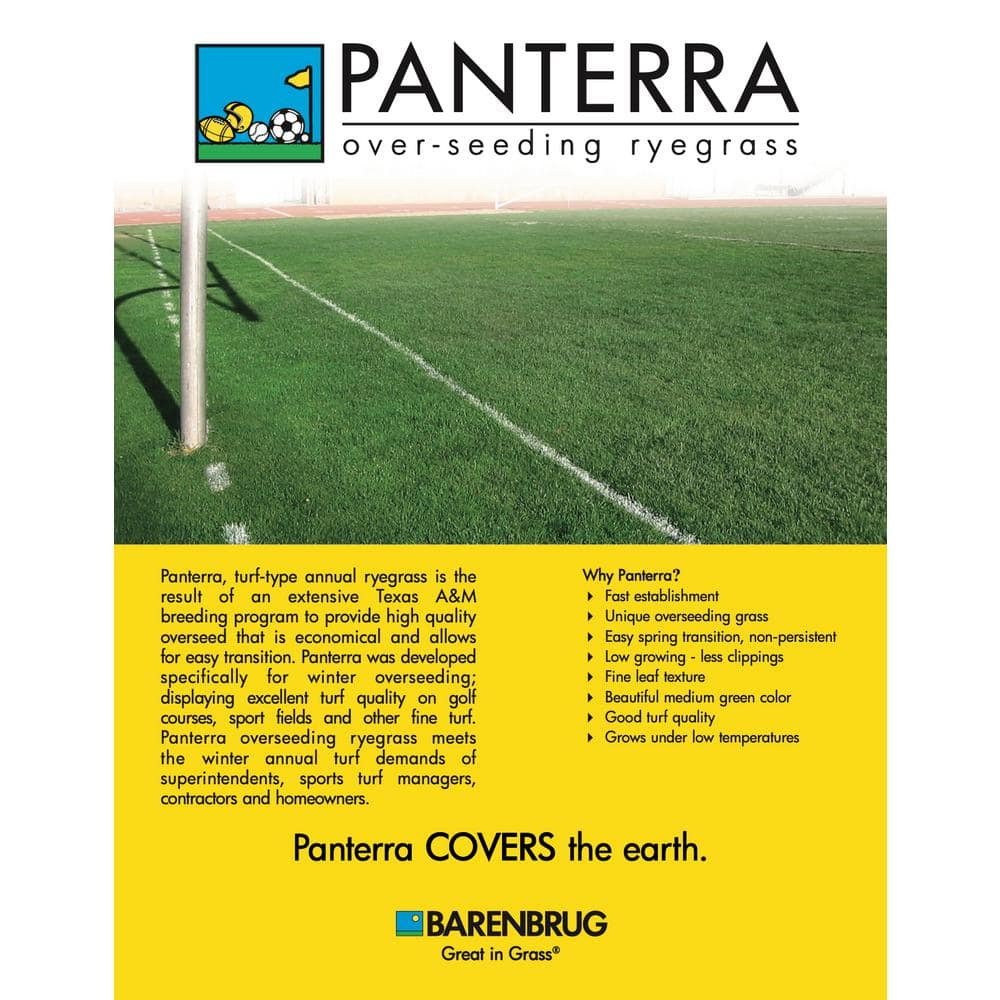 50 Lb. Pantera V Overseeding Rye Grass Seed