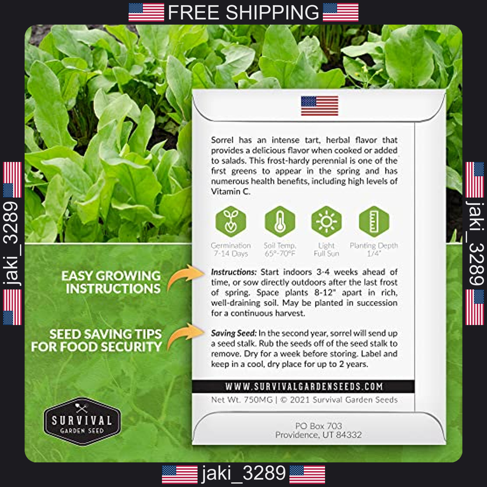 Sorrel Seeds for Planting – Large Leaf Garden Sorrel – Cool Weather Perennial