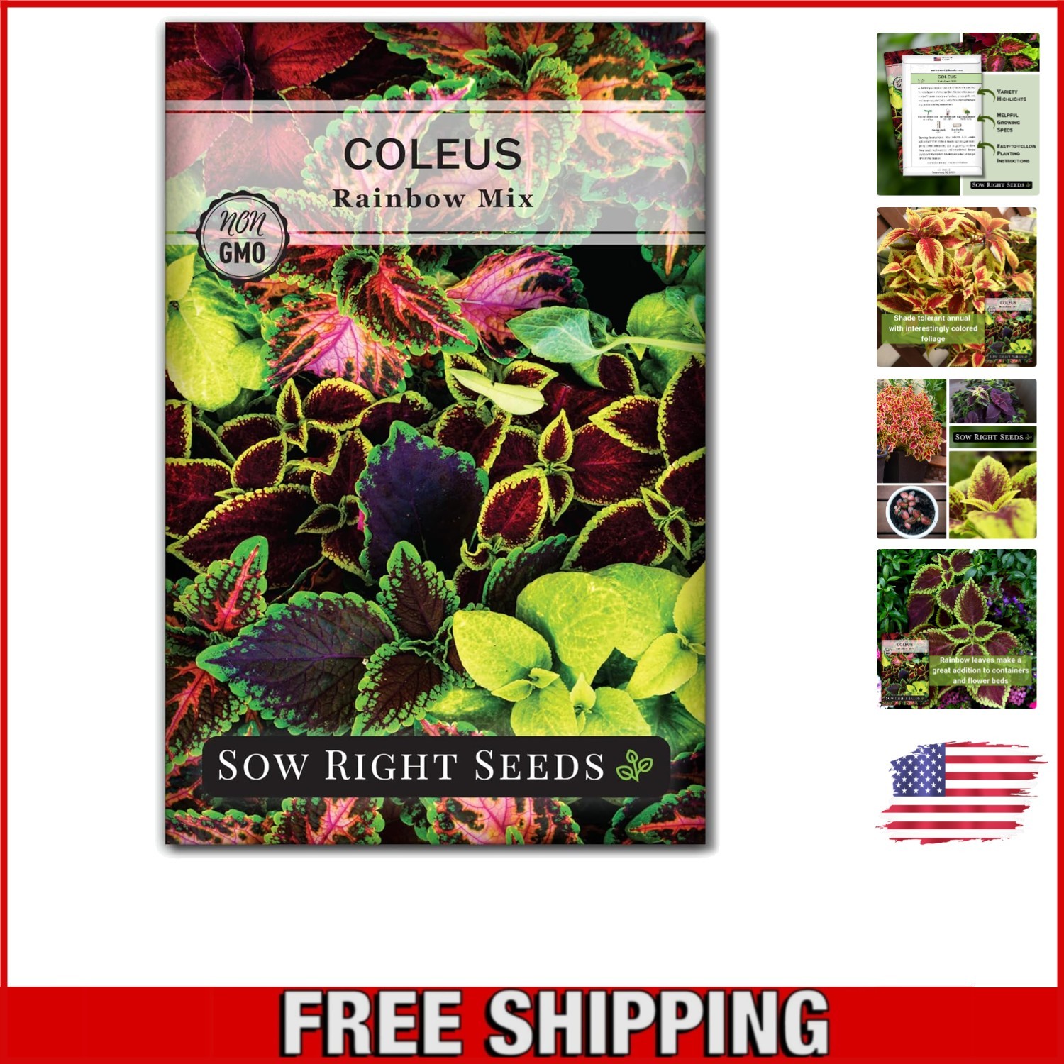 Beautiful Coleus Rainbow Mix Seeds – Indoor/Outdoor Gardening Delight