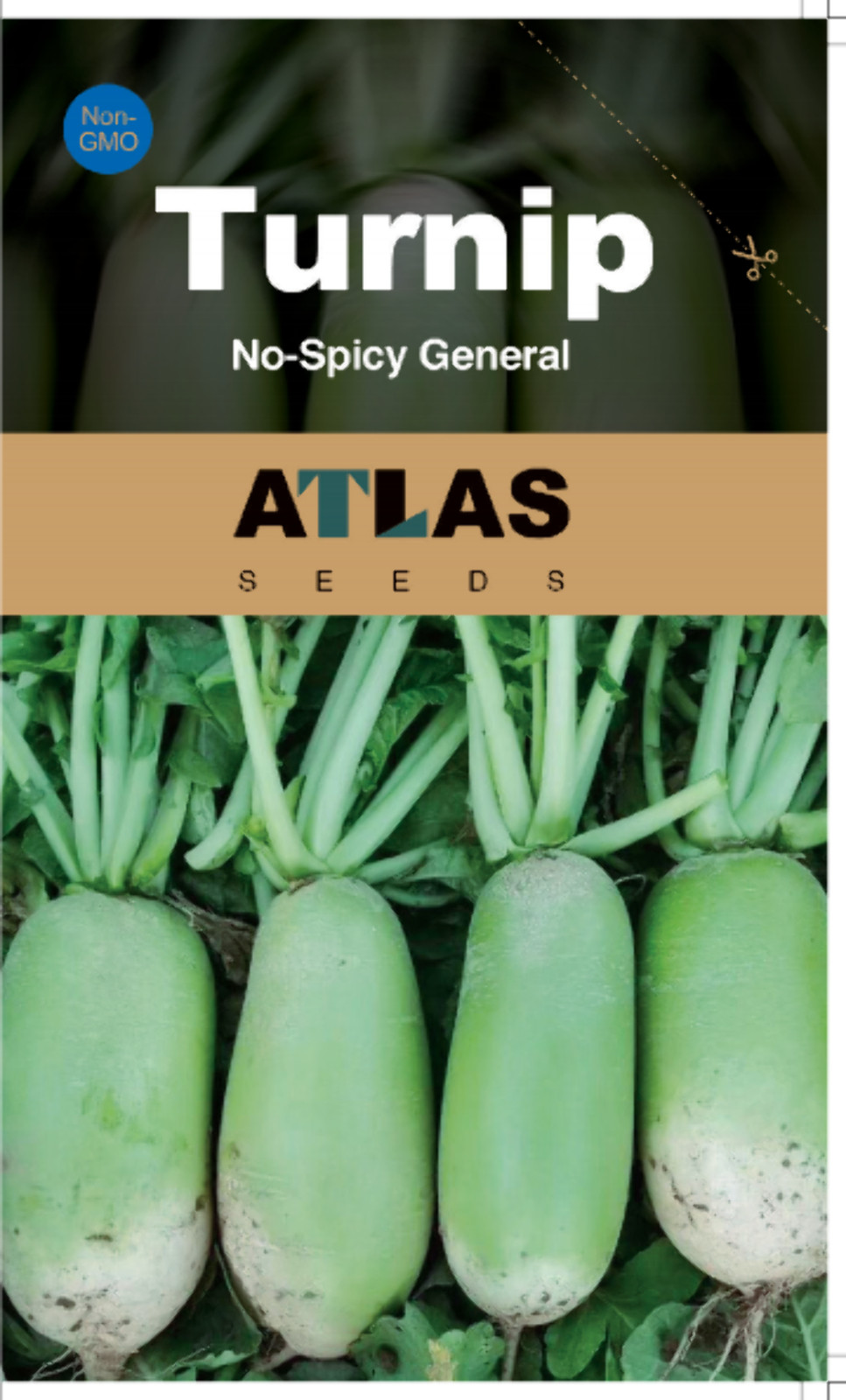 Chinese Green Radish Seeds Sweet Crisp Non-GMO Easy Grow High Yield