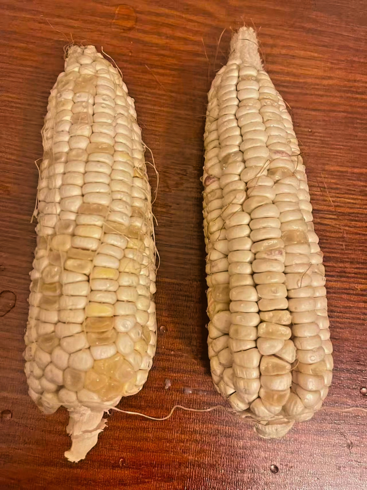 Organic Sweet Sticky Waxy White Glutinous Corn Non-GMO 糯玉米