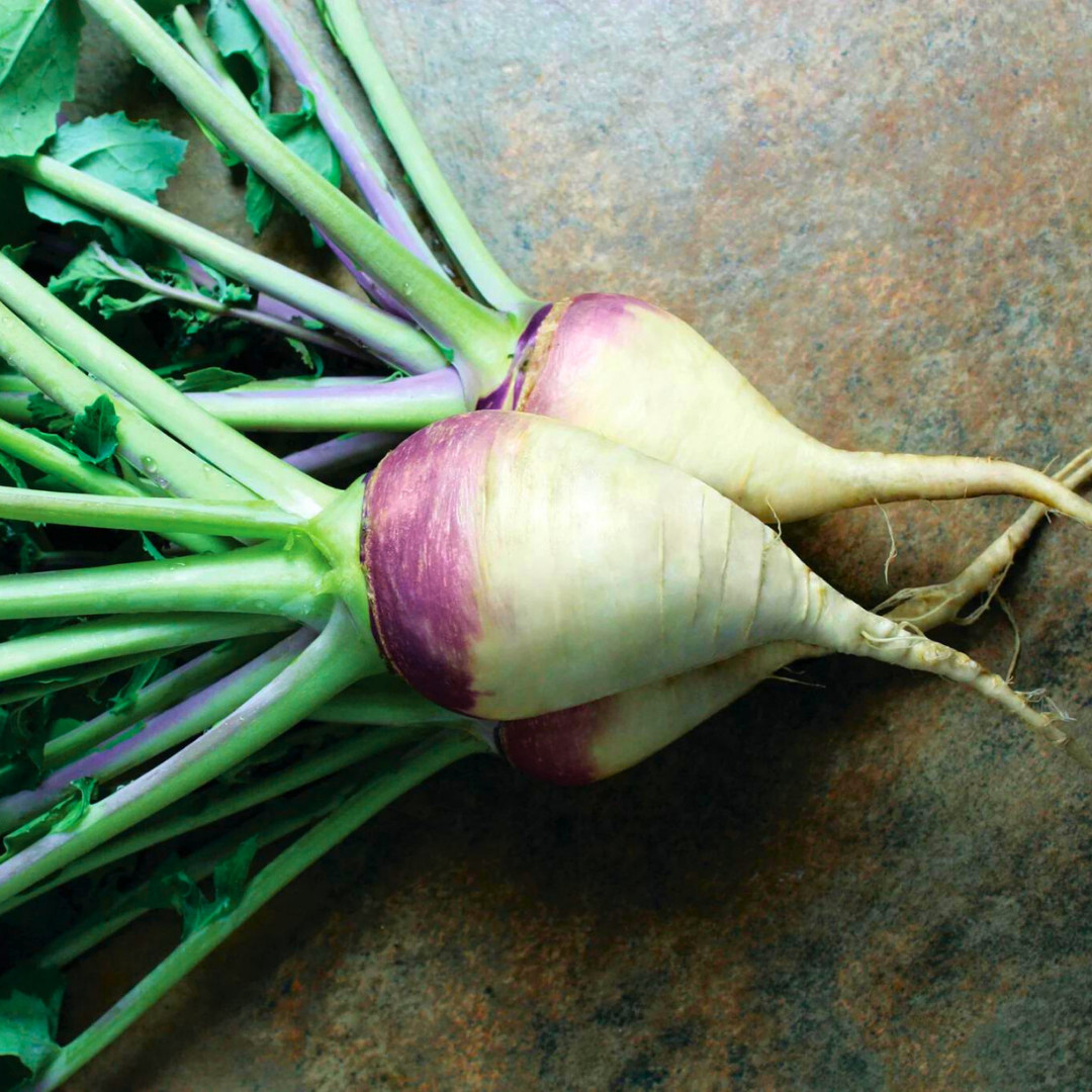 Fresh American Purple Top Rutabaga Seeds | Heirloom Non-GMO | Vegetable Seeds