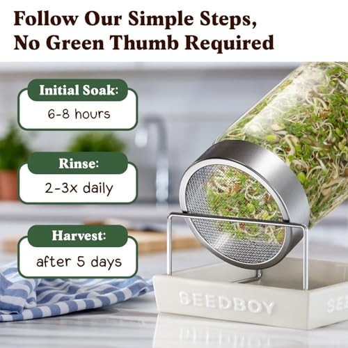 Seedboy Organic Sprouting Seeds Salad Blend 8oz – USA Grown Microgreens Mix