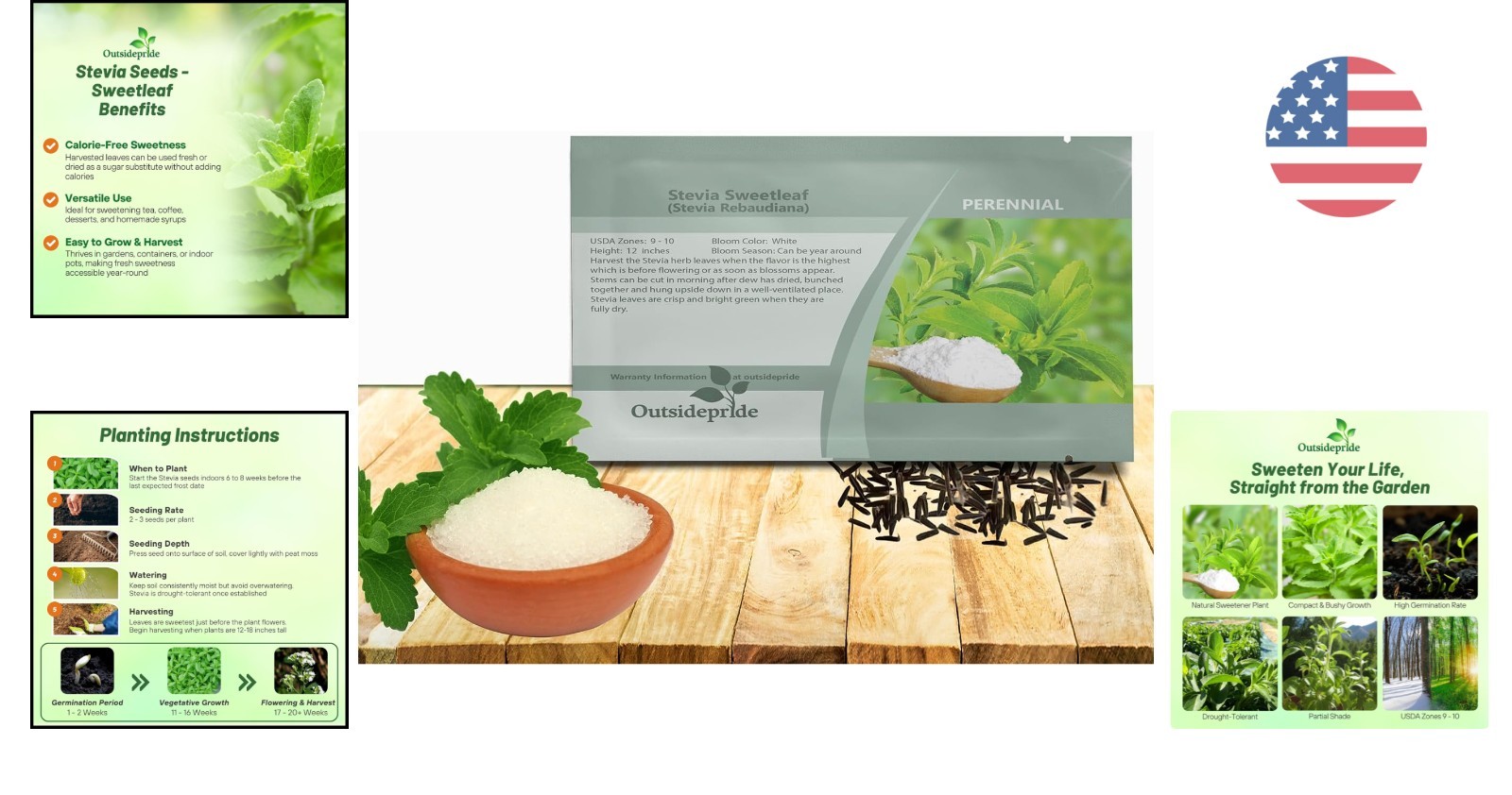 Organic Stevia Sweetleaf Seeds – 50 Pcs for Culinary Delights in Any Garden