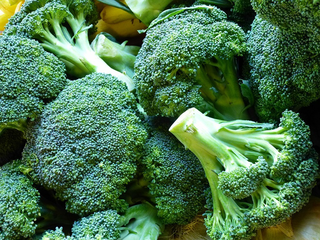 1200+ BROCCOLI WALTHAM SEEDS HEIRLOOM VEGETABLE GARDEN NON-GMO MICROGREENS USA