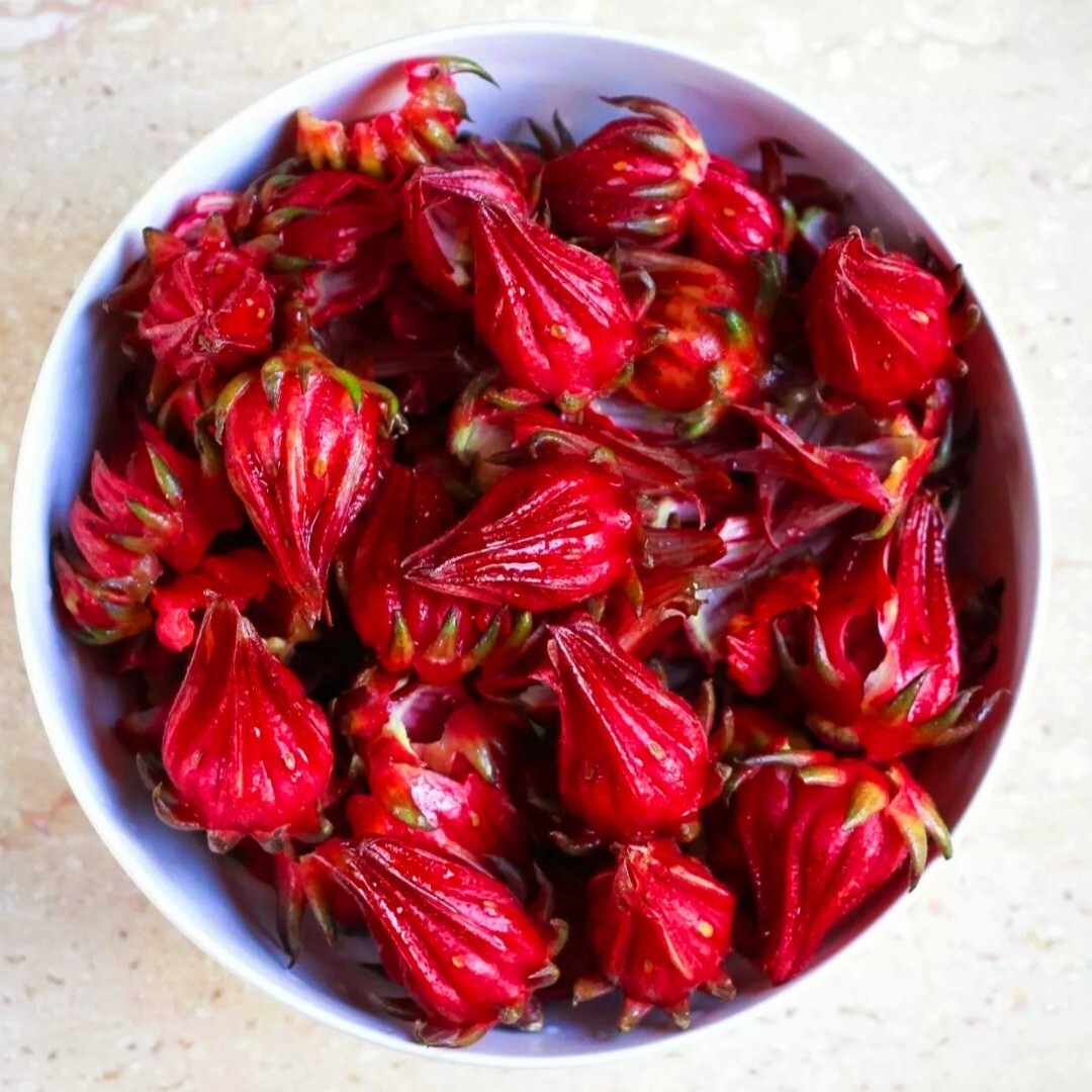 50 Roselle Seeds Jamaican Sorrel Seeds Florida Cranberry Hibiscus Sabdariffa