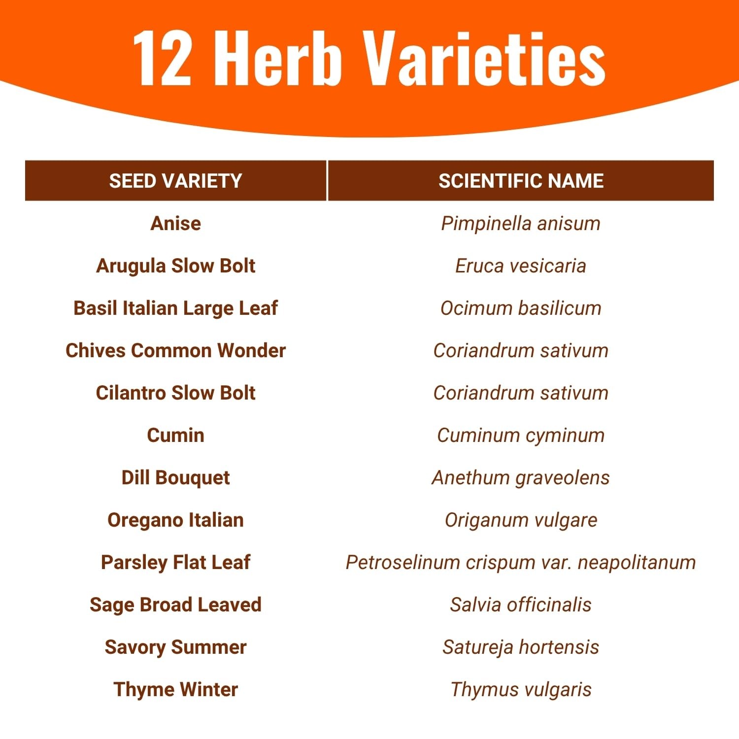 | 4,000 Heirloom Seeds | 12 Variety Pack of Herb Seeds | 2026 Season | Non GM…
