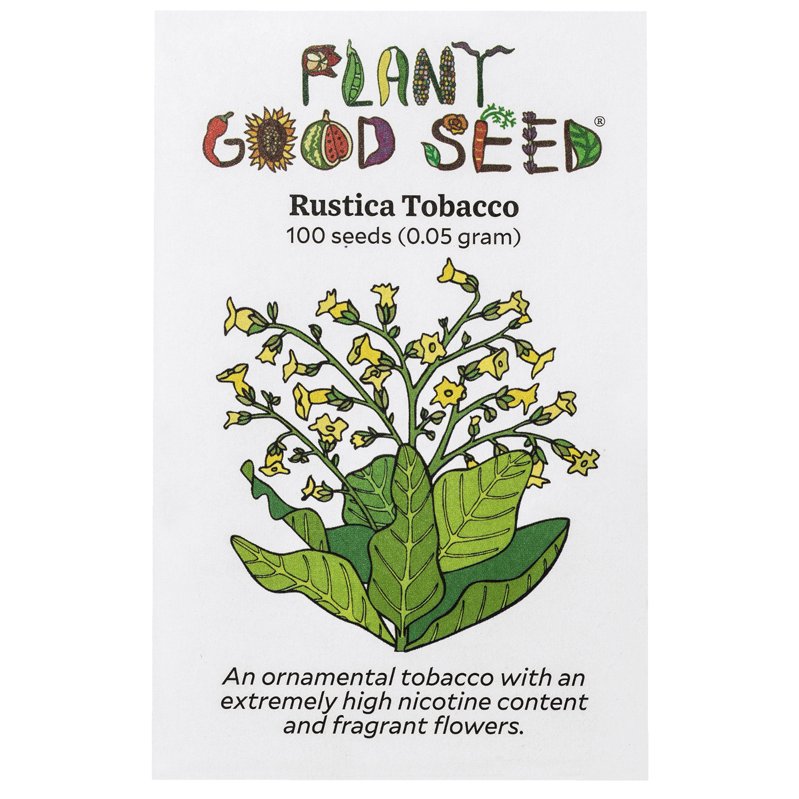 Organic Rustica Tobacco Seeds: 100 Seed Packet Bulk Pack Heirloom Nicotiana