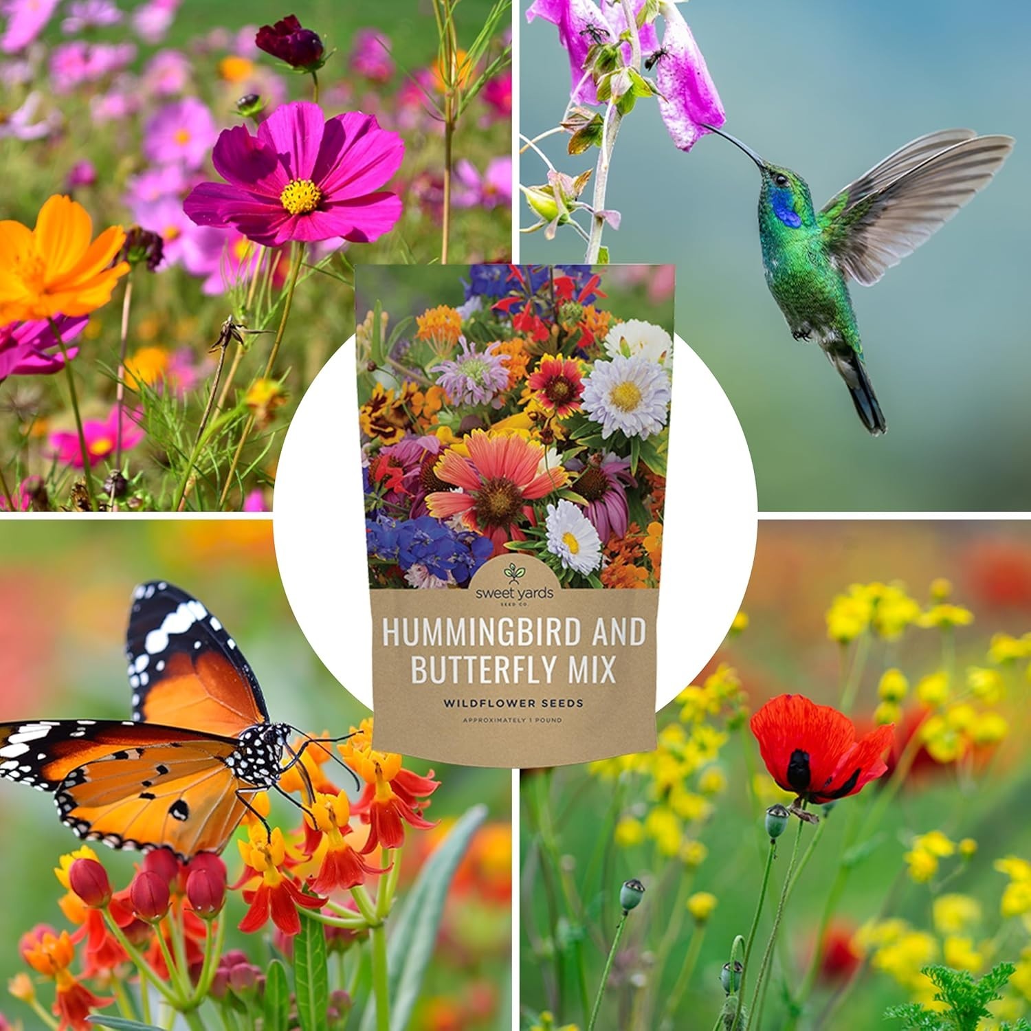 Wildflower Seeds Assortment – 1 lb Bag – 1600 Sq Ft Coverage