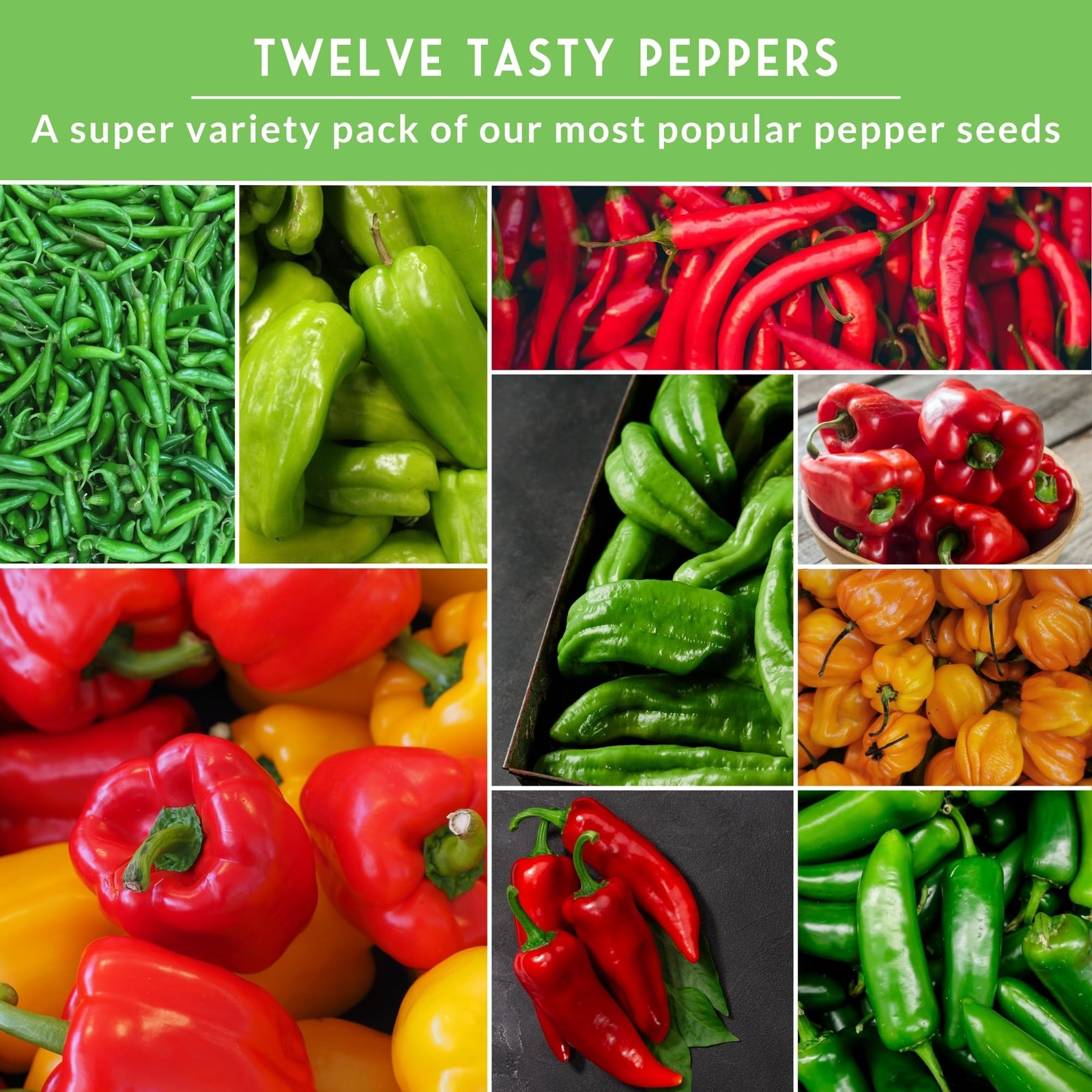 Pepper Seeds for Planting – 12 Variety Pack | Jalapeño, Serrano, Cayenne, Bel…
