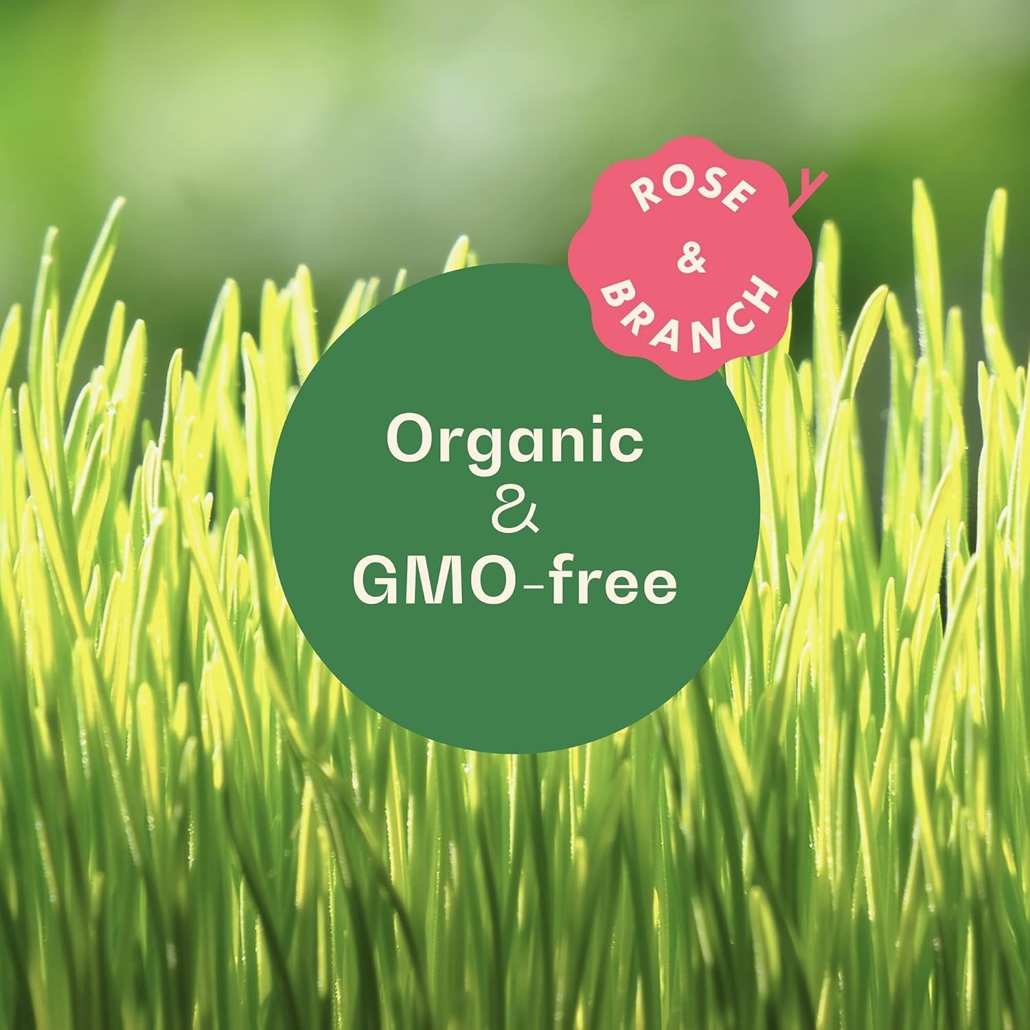 Organic Wheat Grass Seeds for Cats – 16 oz Non-GMO Pet-Friendly Treat