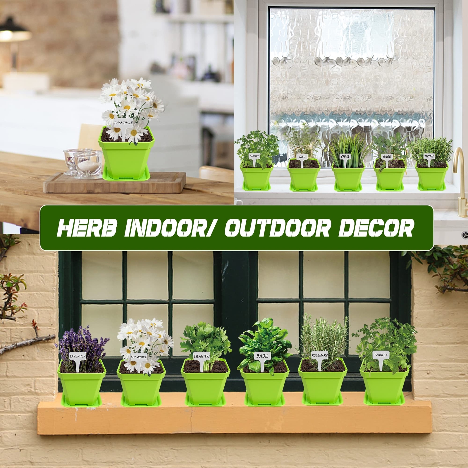 10 Herb Seeds Garden Starter Grow Kit Indoor Potted Plant Set for Kitchen
