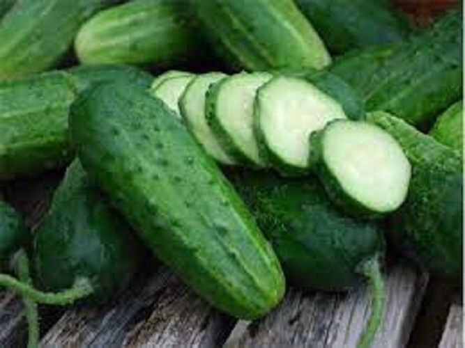 Premium Boston Pickling Cucumber – Fresh Heirloom Seeds – Most Popular Variety!
