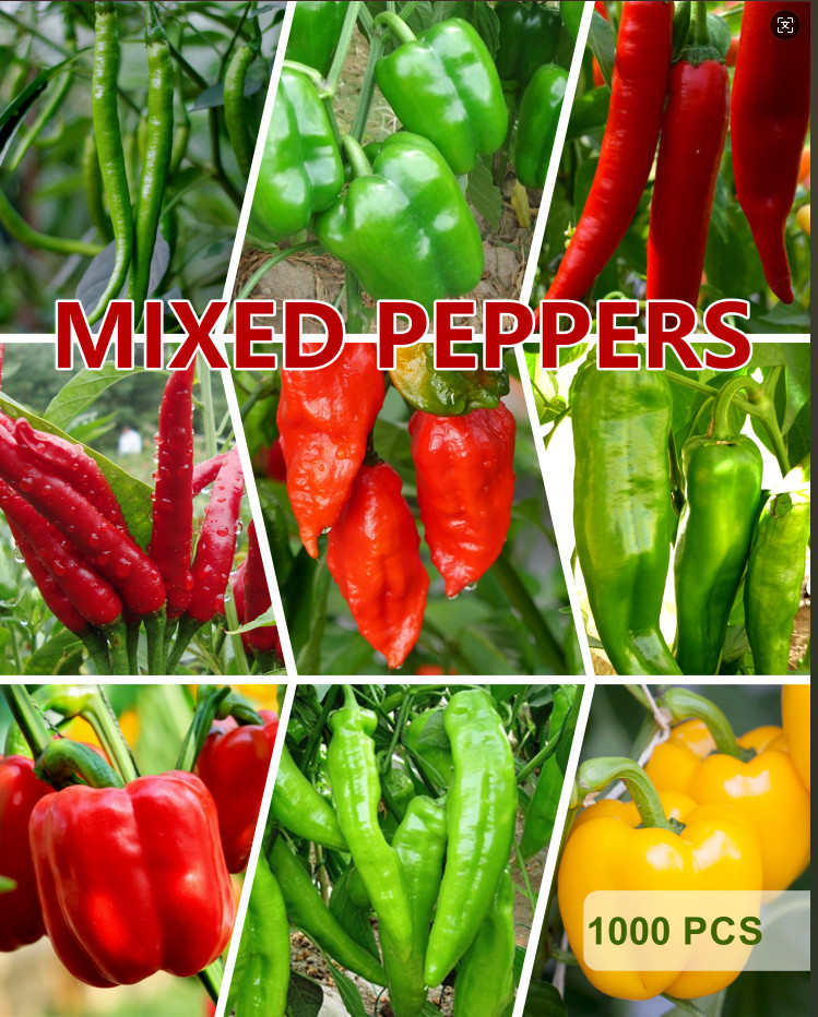 1000pcs Premium Pepper Seeds Mix Bulk Sweet & Hot Spicy Home Garden Planting