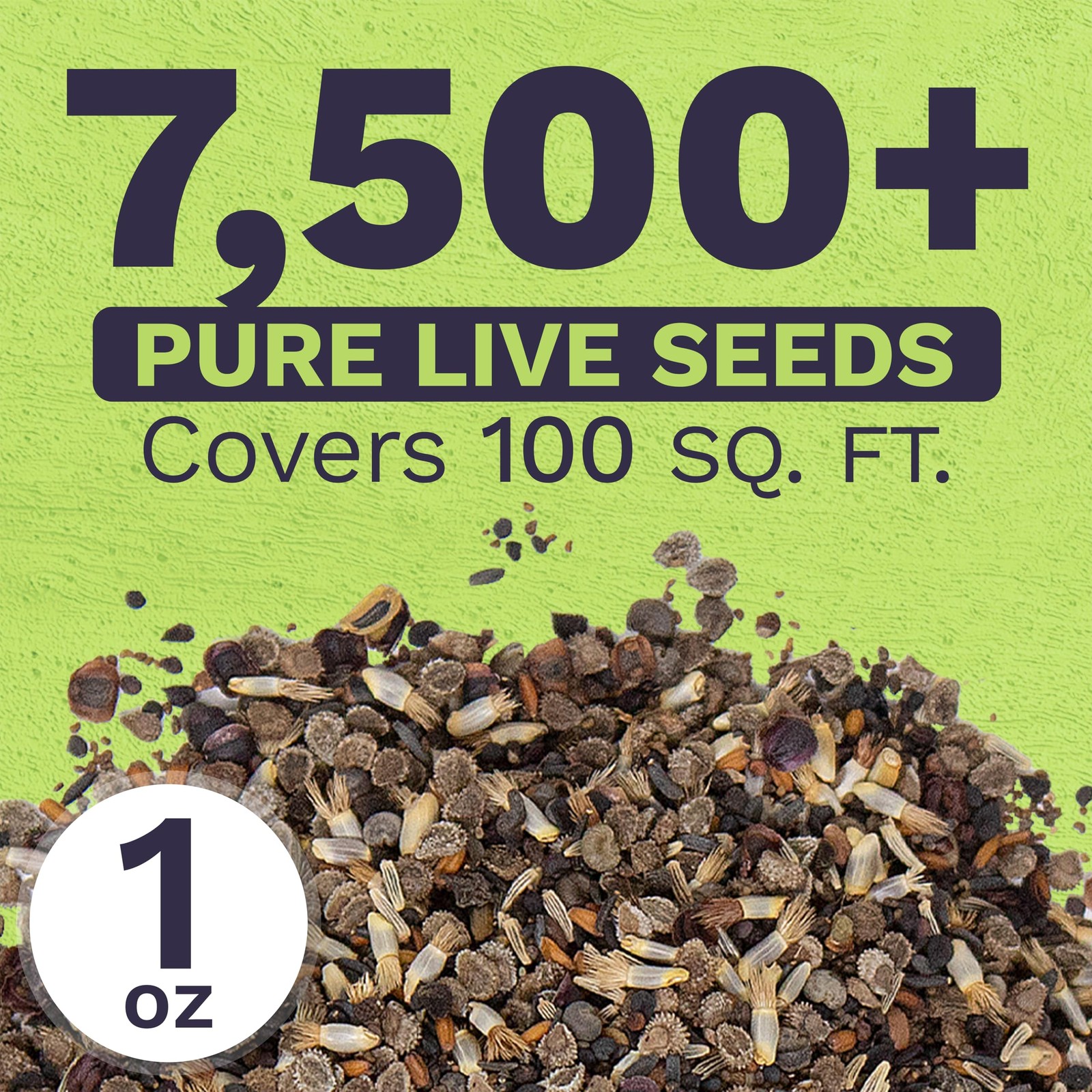 Wildflower Seeds Partial Shade Mix 1 Ounce 7000 Annual Perennial Planting