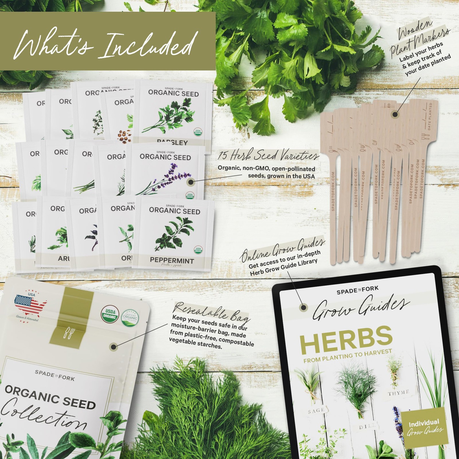 15 Certified Organic Herb Seeds Variety Pack (4X More) 10,000+ Non GMO Seeds …