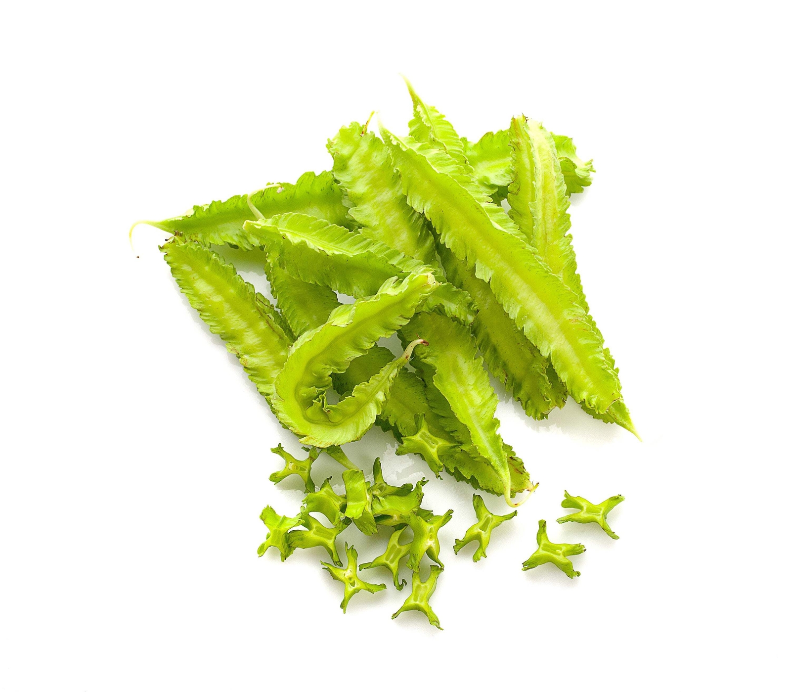 50 ASPARAGUS PEA Winged Pea Lotus Tetragonolobus Red Flower Vegetable Seeds