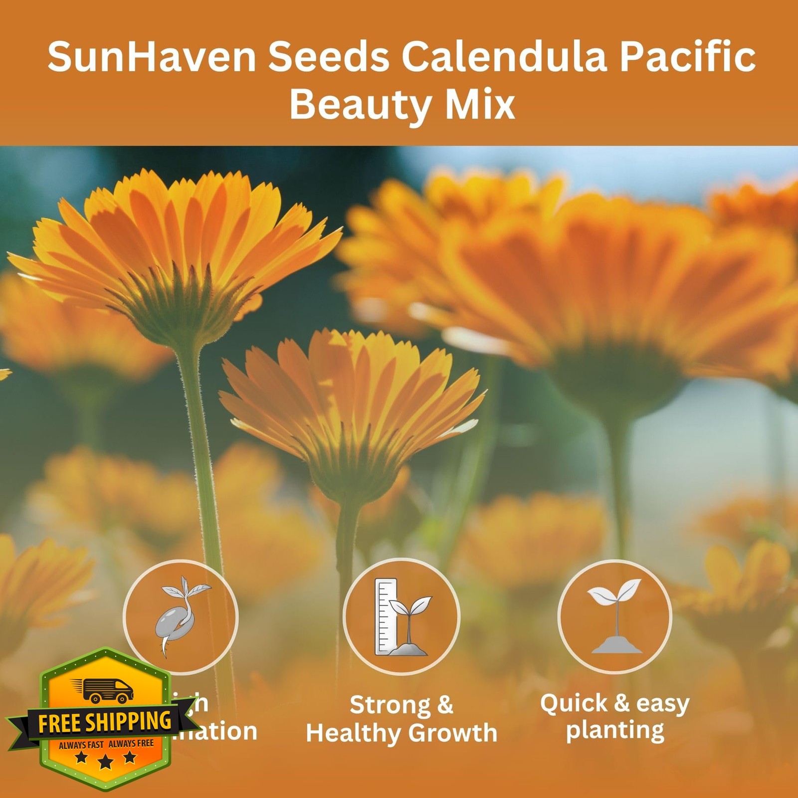 SunHaven Calendula Seeds Pacific Beauty Mix, 1 oz Bulk Packet
