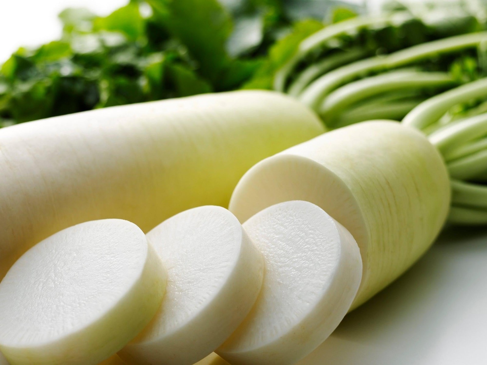 250 Japanese Daikon Radish Seeds-with Bonus! / ORGANIC NON-GMO HEIRLOOM