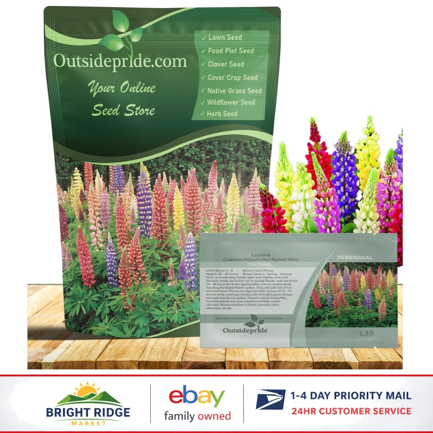 Mixed Russells Lupine Seeds for Perennial Wildflowers, 1/4 Lb. for Fall Planting