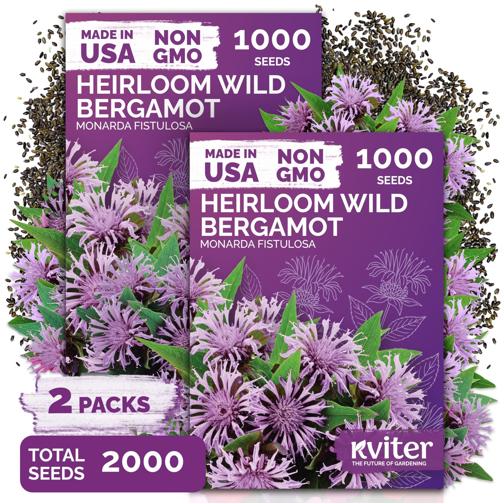 KVITER 2,000 Wild Bergamot Seeds for Planting (Monarda fistulosa), 2 Pack