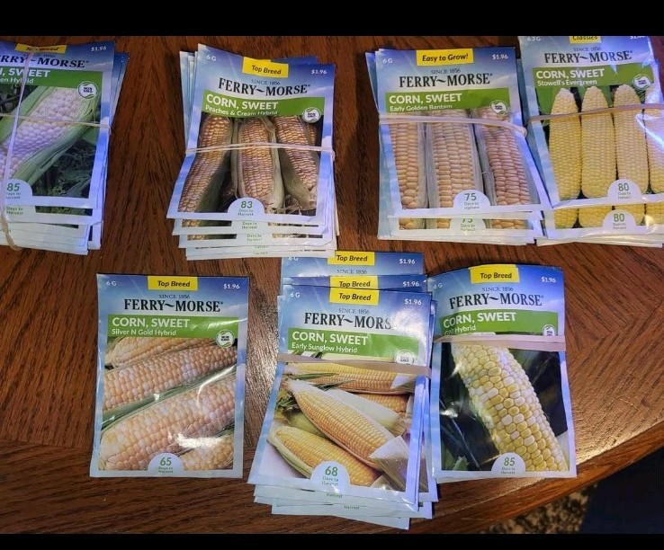 Ferry-Morse Vegetable & Herb Seeds Assortment Mixed Varieties 70 left hole lot