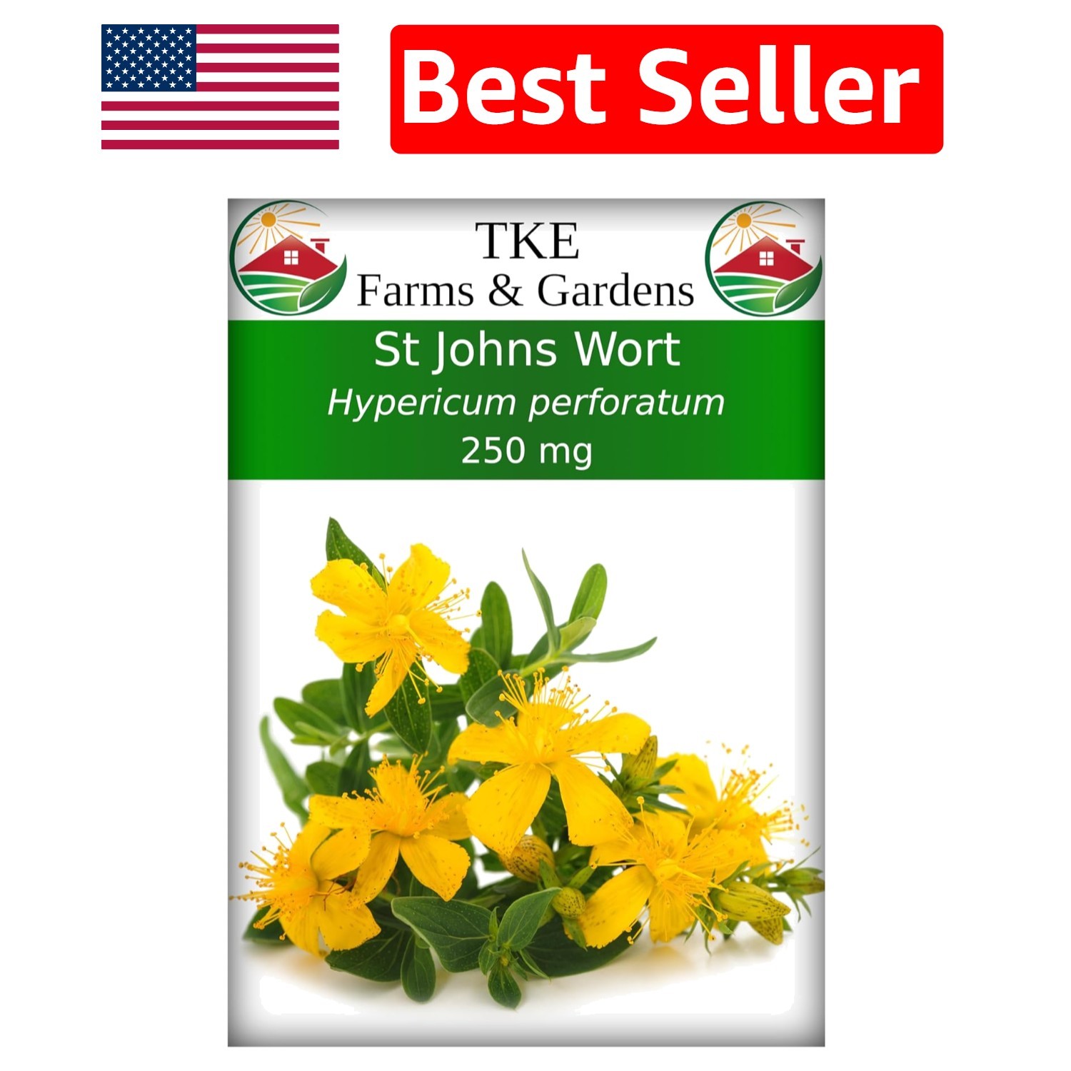 250 mg Packet of St. John’s Wort Seeds – Attract Pollinators, Deer Resistant
