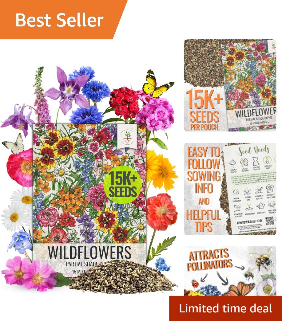 1 Ounce Wildflower Seeds – Vibrant Mix for Shade | Attracts Butterflies & Bees