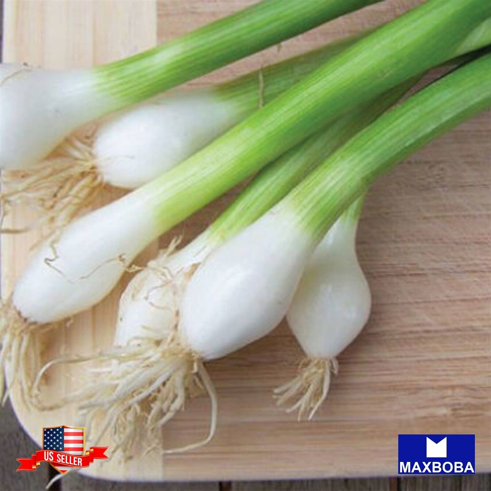 Onion Seeds – Bunching – Tokyo Long White (Organic) Non-GMO Heirloom Vegetable