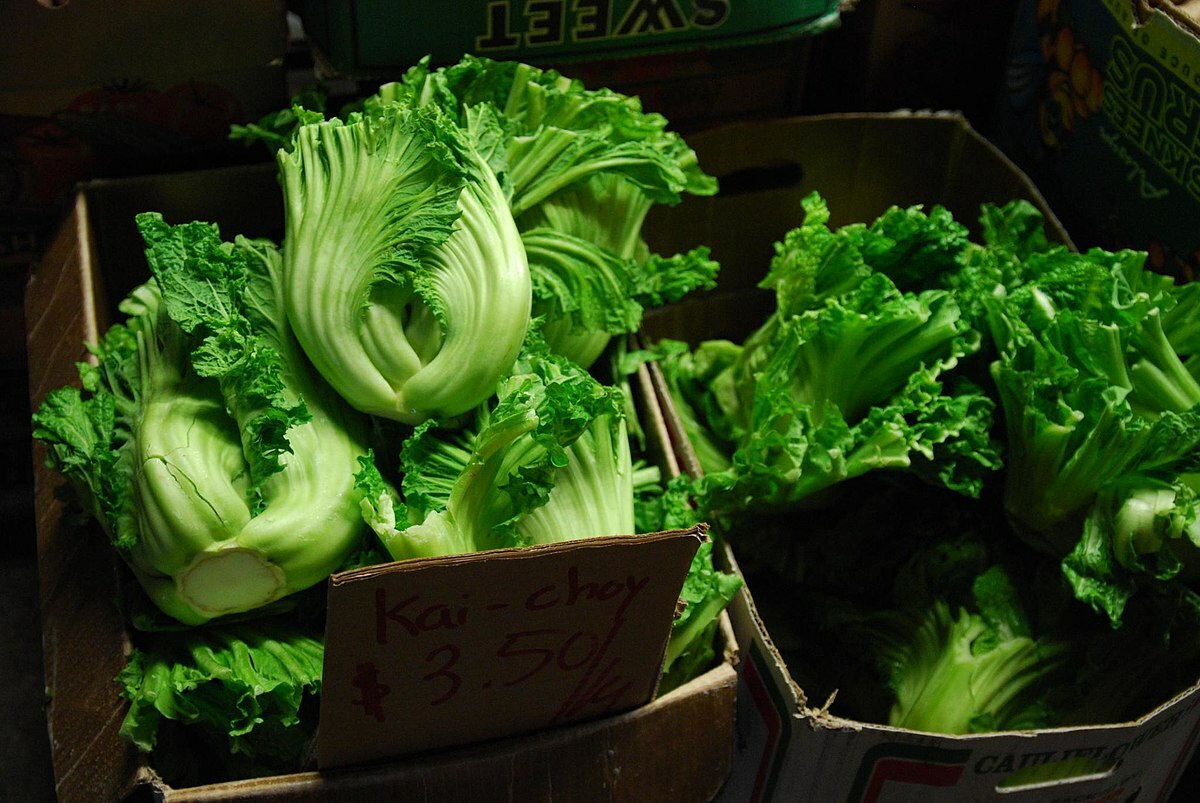 1,000 Seeds of Oriental Mustard (Chinese Mustard, Gai Choy), Brassica Juncea