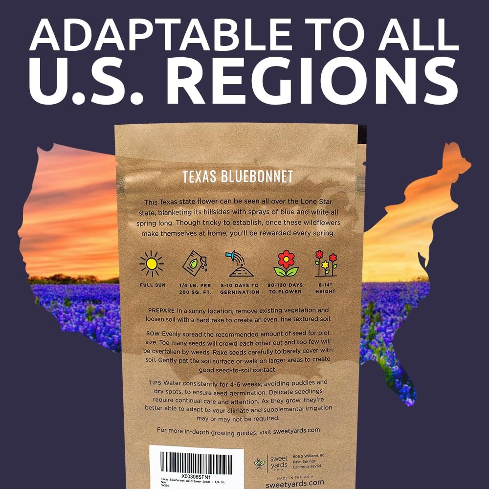 Native Wildflower Seeds Texas Bluebonnet 1/4 Pound Bag Over 4000 Seeds f