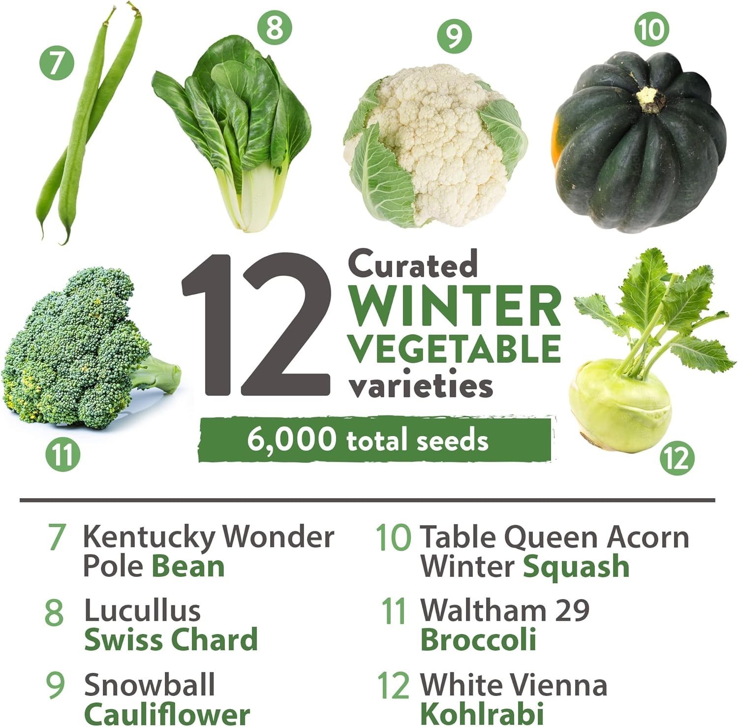 Winter Vegetable Seeds Collection – 12 Organic Heirloom Varieties for Gardeners