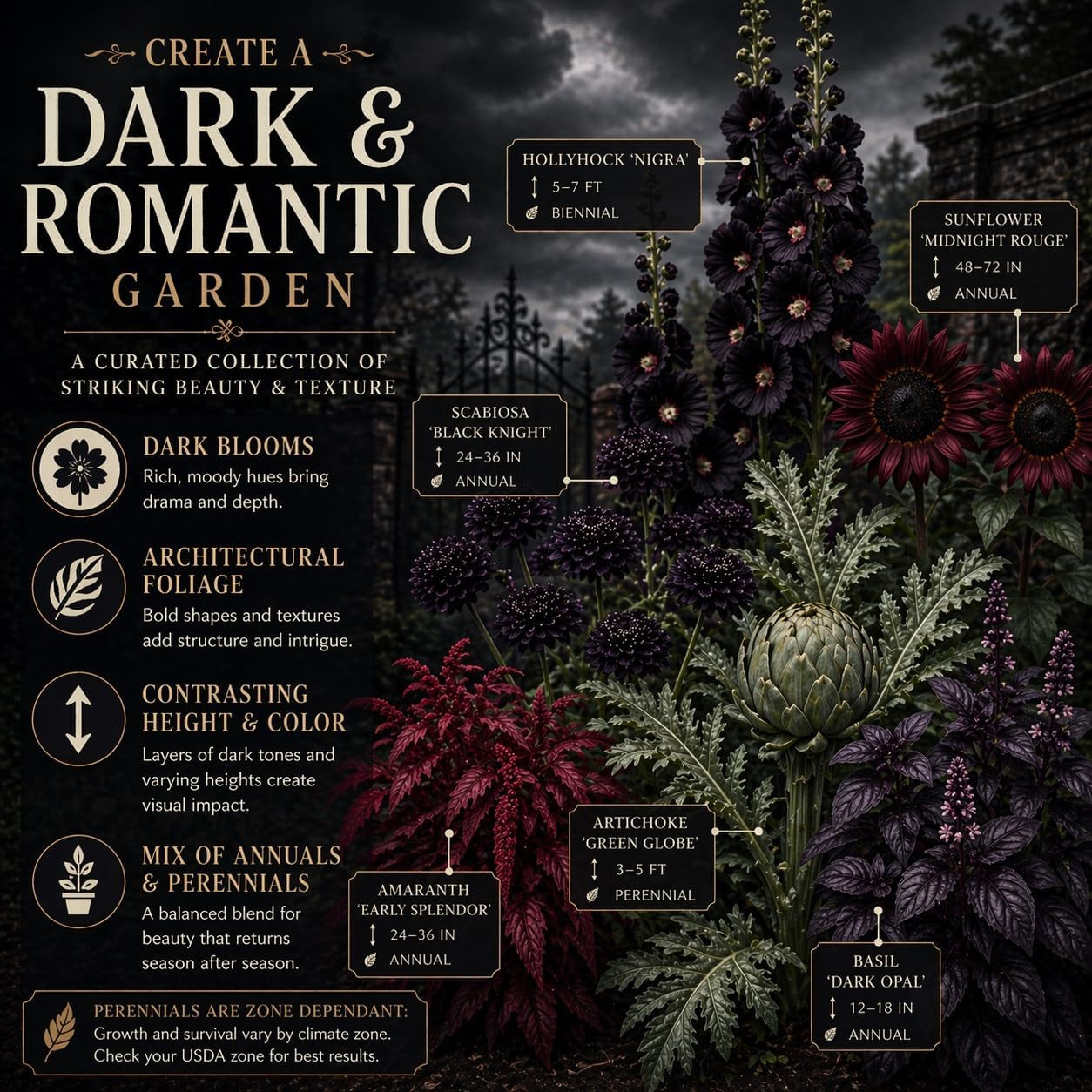 Gothic Garden Seed Collection, 6 Open-Pollinated Flower & Foliage Varieties