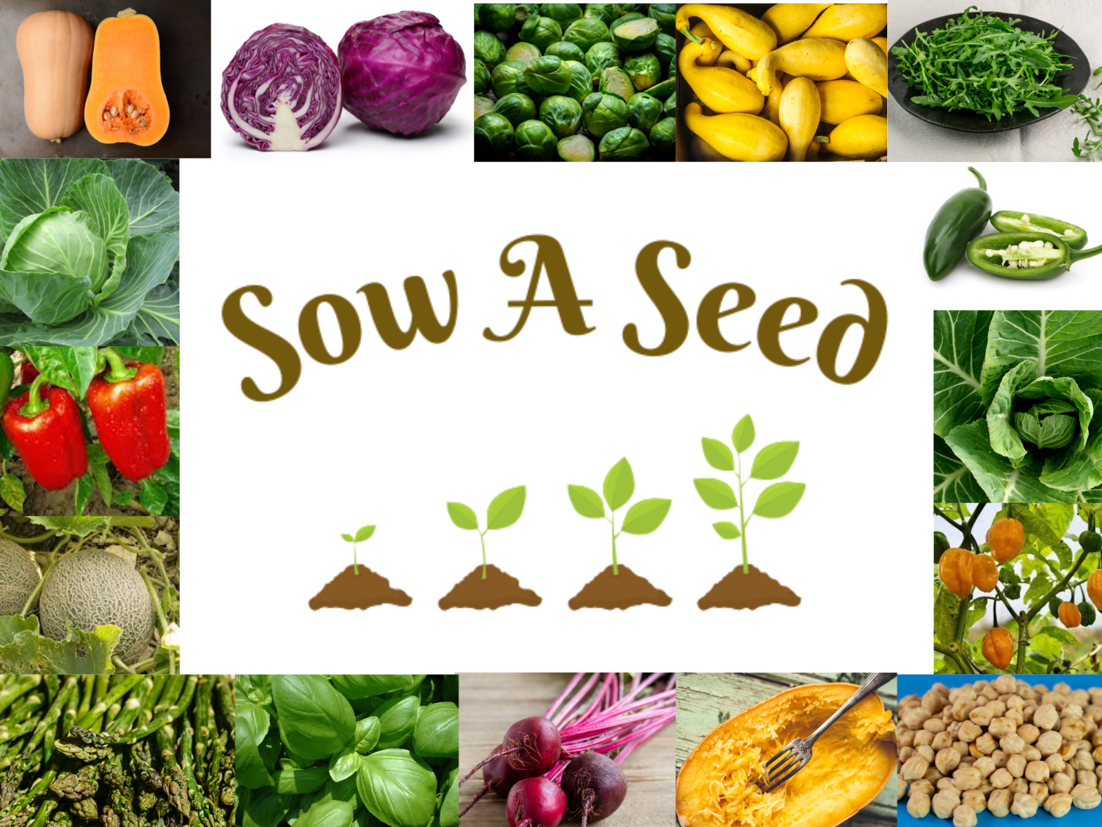 Heirloom, Open Pollinated, Non GMO Garden Seeds