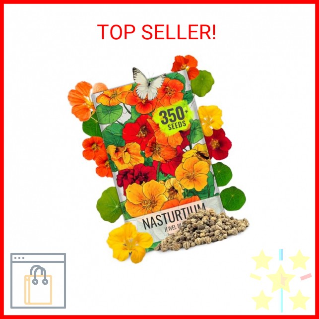 Seed Needs Nasturtium Seeds Jewel Mix Multicolored Edible Flowers | 1.5 Ounce 35
