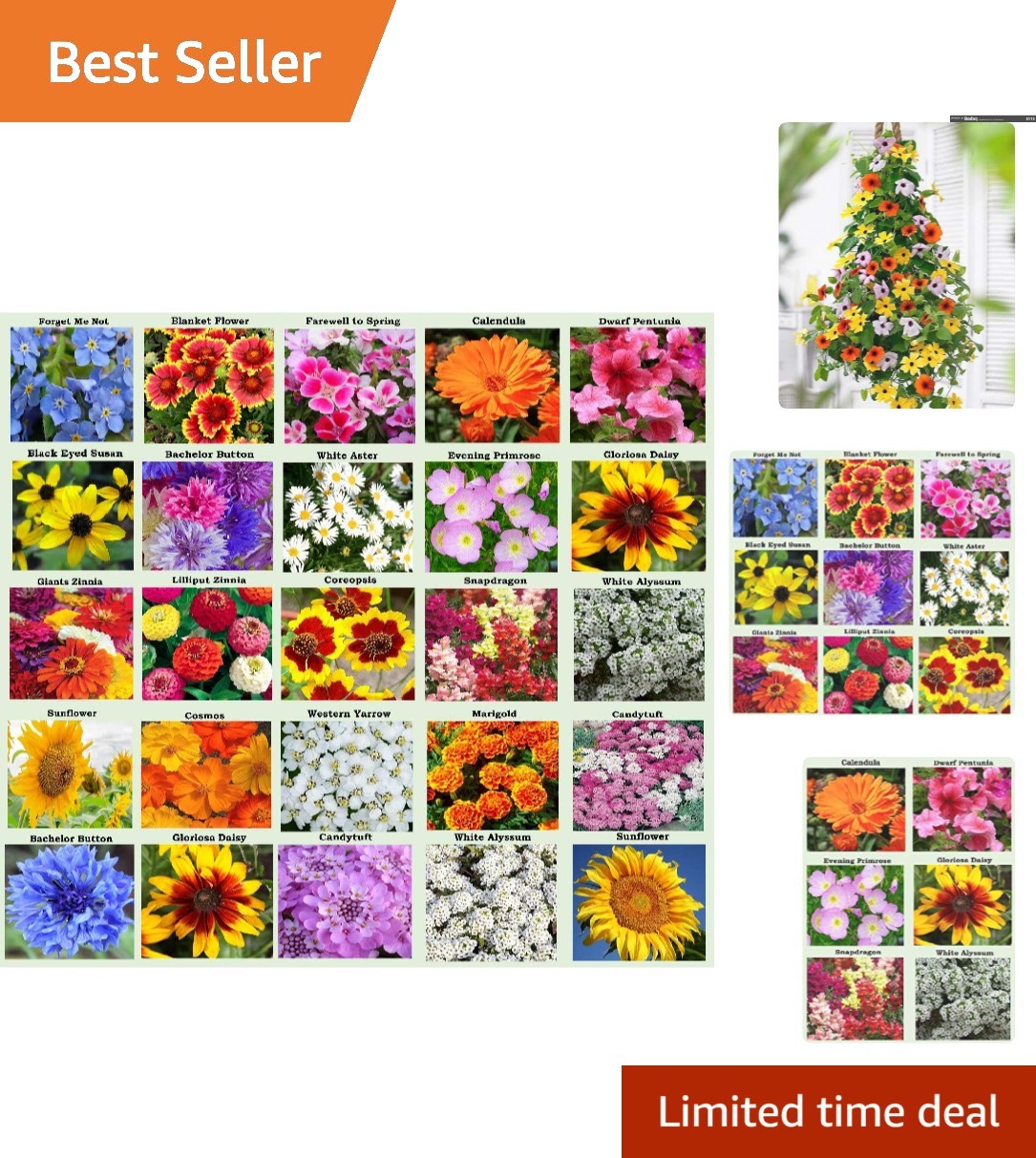 25 Pack Heirloom Flower Seeds – Colorful Varieties for Spring to Fall Bloom