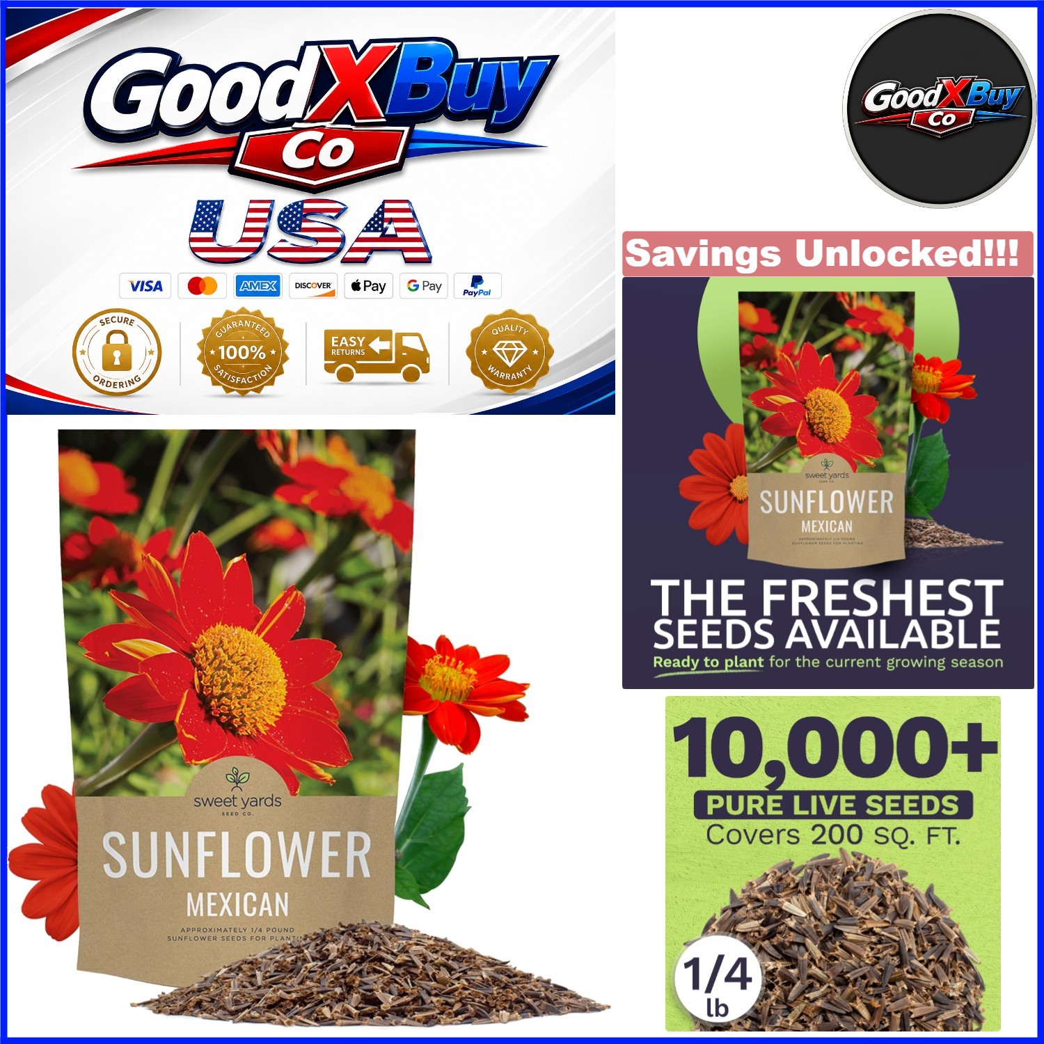 Bulk Mexican Sunflower Seeds 10,000+ Open Pollinated Non-GMO Tithonia rotundi…