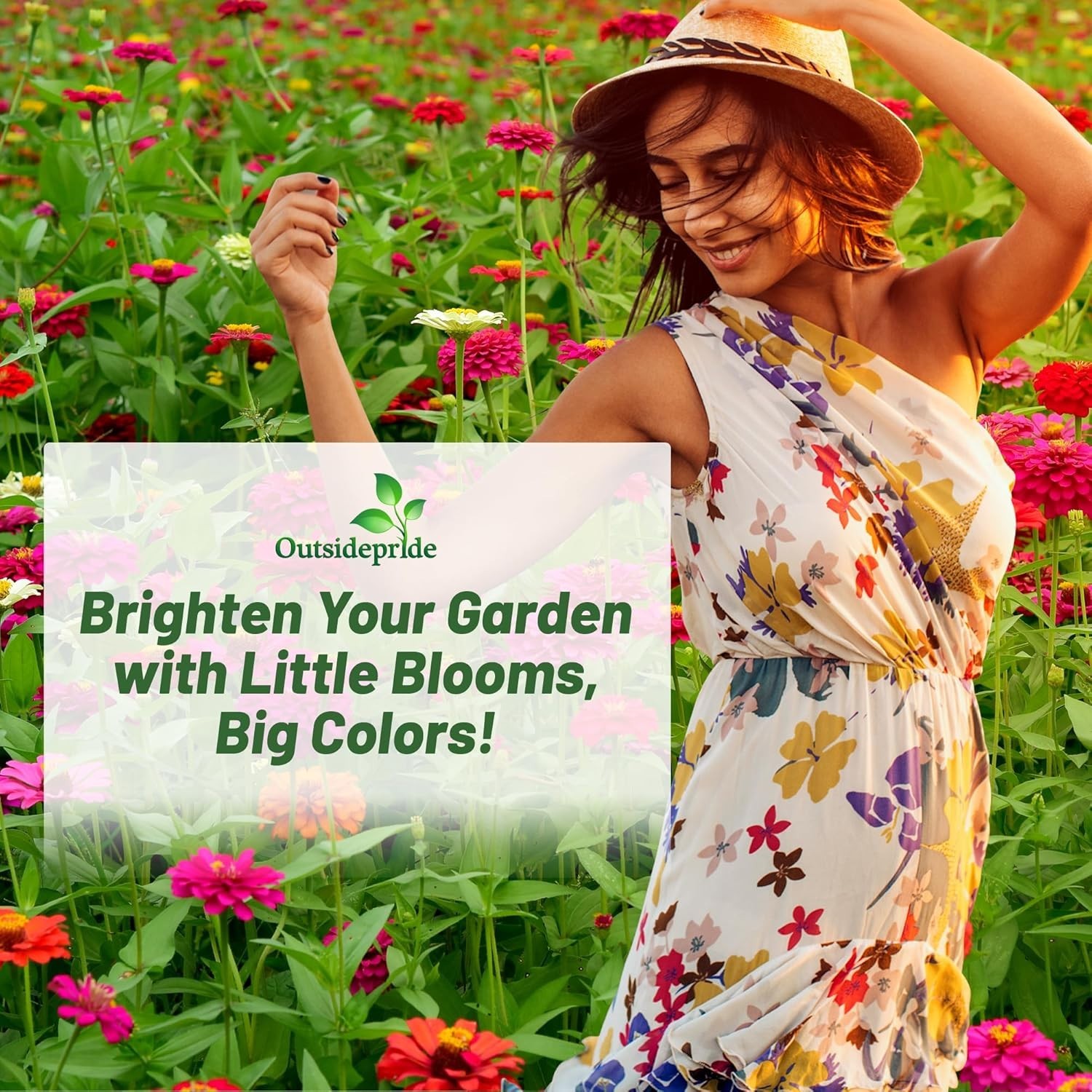Compact Heirloom Zinnia Seeds – 1/4 Lb. for Beautiful Summer to Winter Blooms