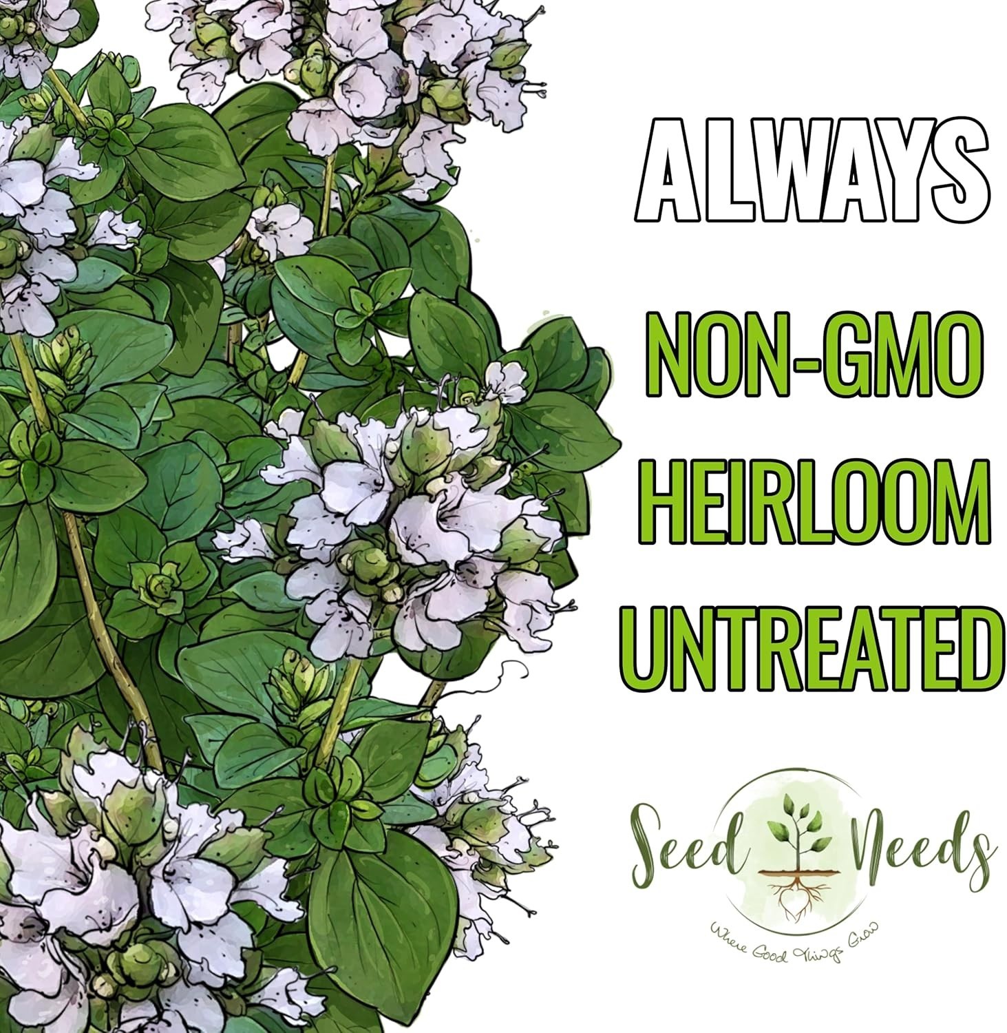500 Count Non-GMO Sweet Marjoram Seeds – Culinary & Medicinal Herb for Planting