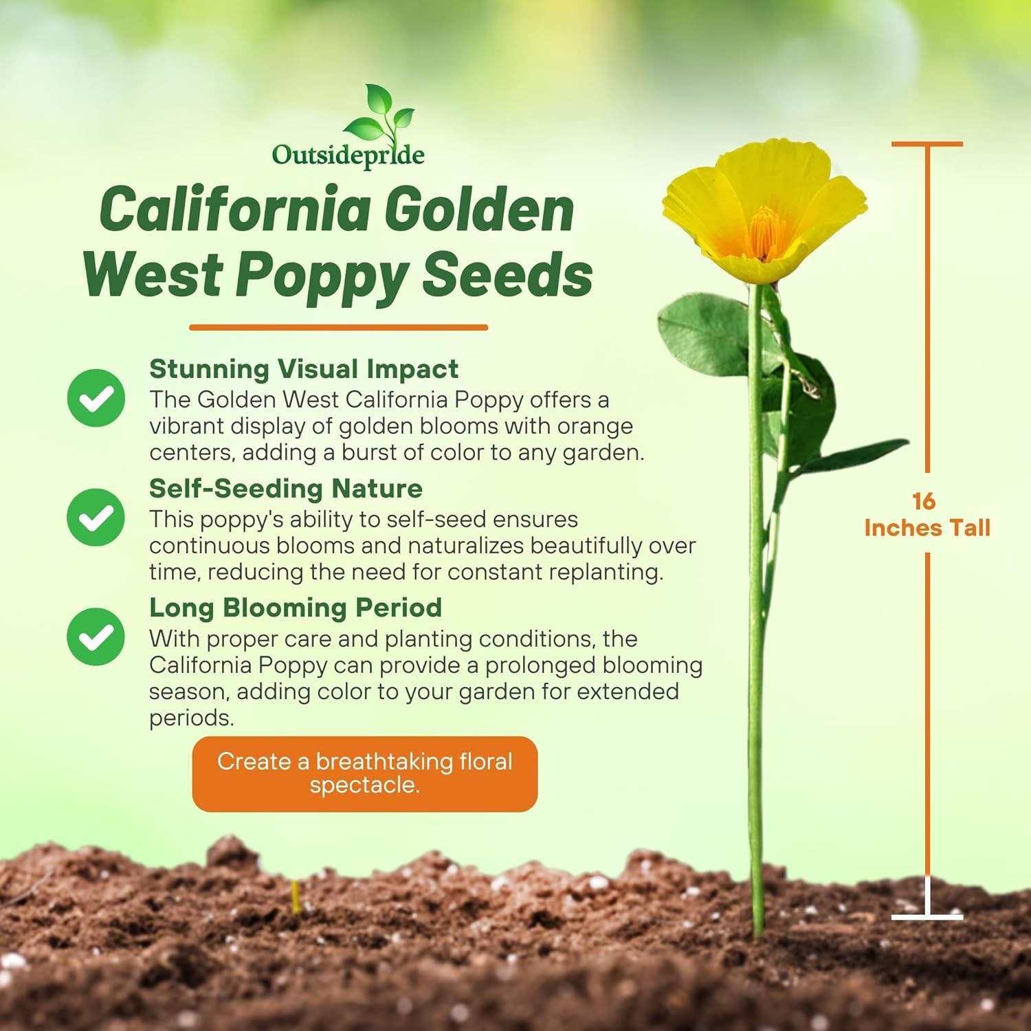 10000 Seeds Drought Tolerant Eschscholzia Golden California Poppy Garden