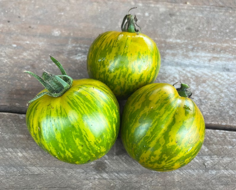 Green Zebra Striped Heirloom Tomato Premium Seed Packet